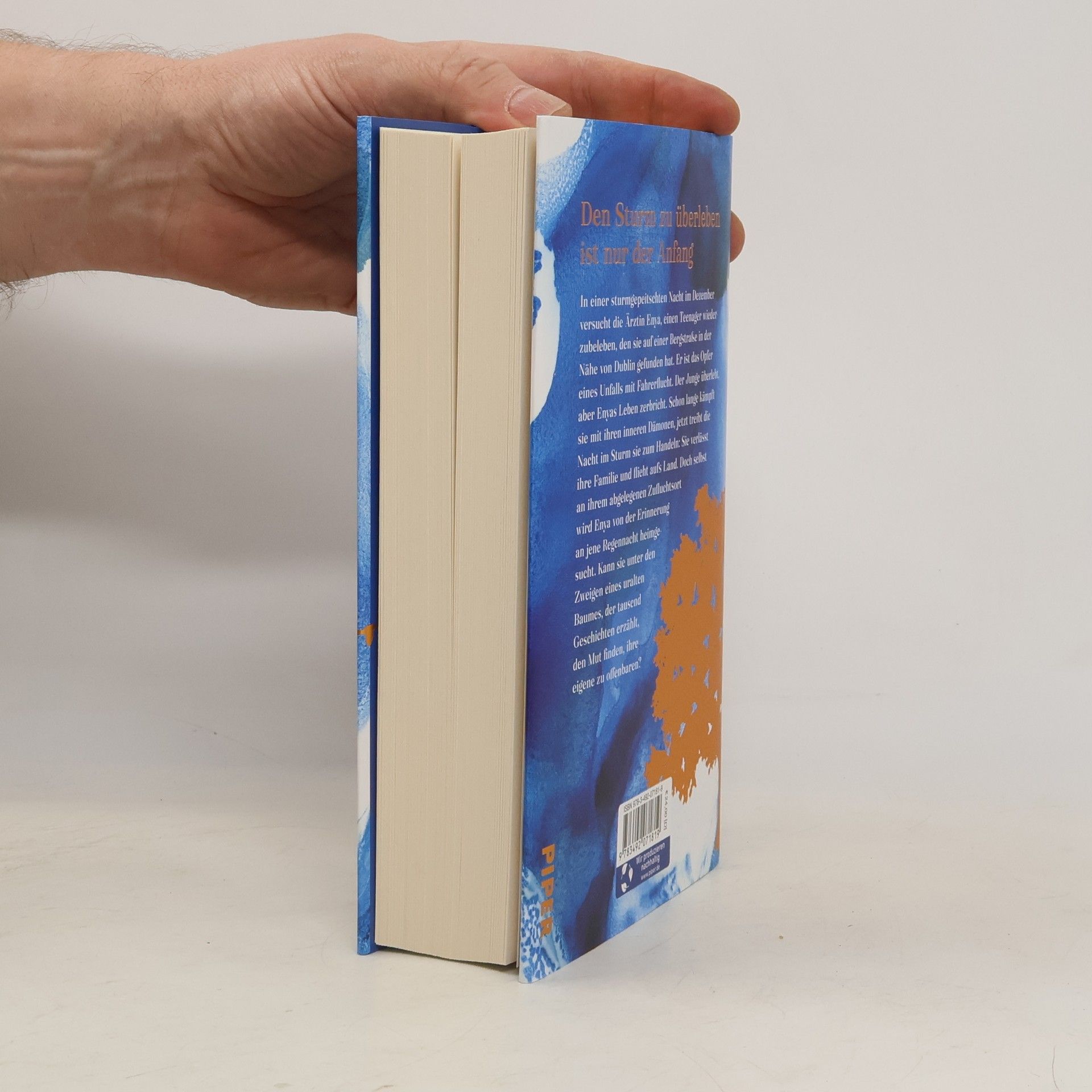 Cecelia Ahern Dem Sturm entgegen