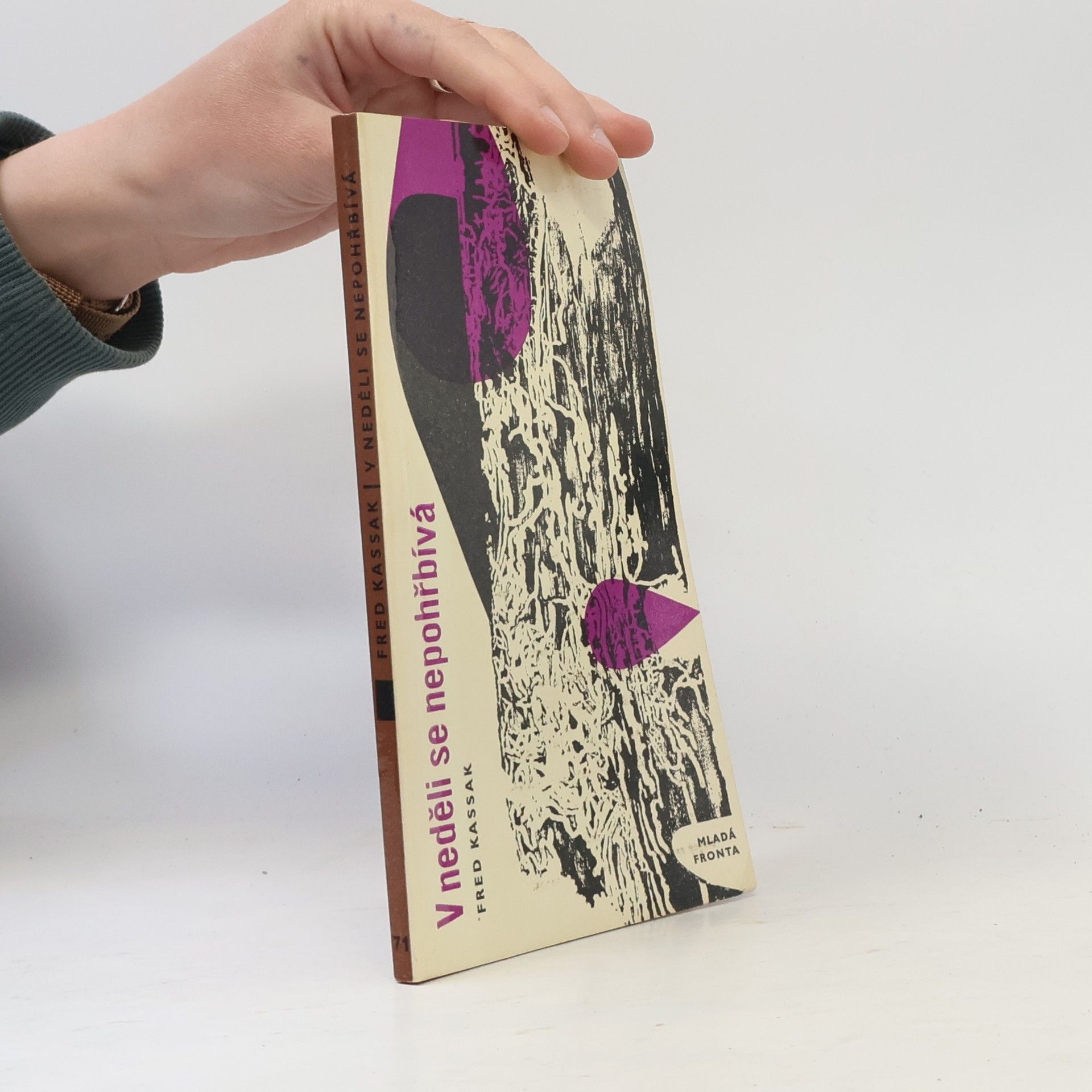 Eva Zaoralová V neděli se nepohřbívá