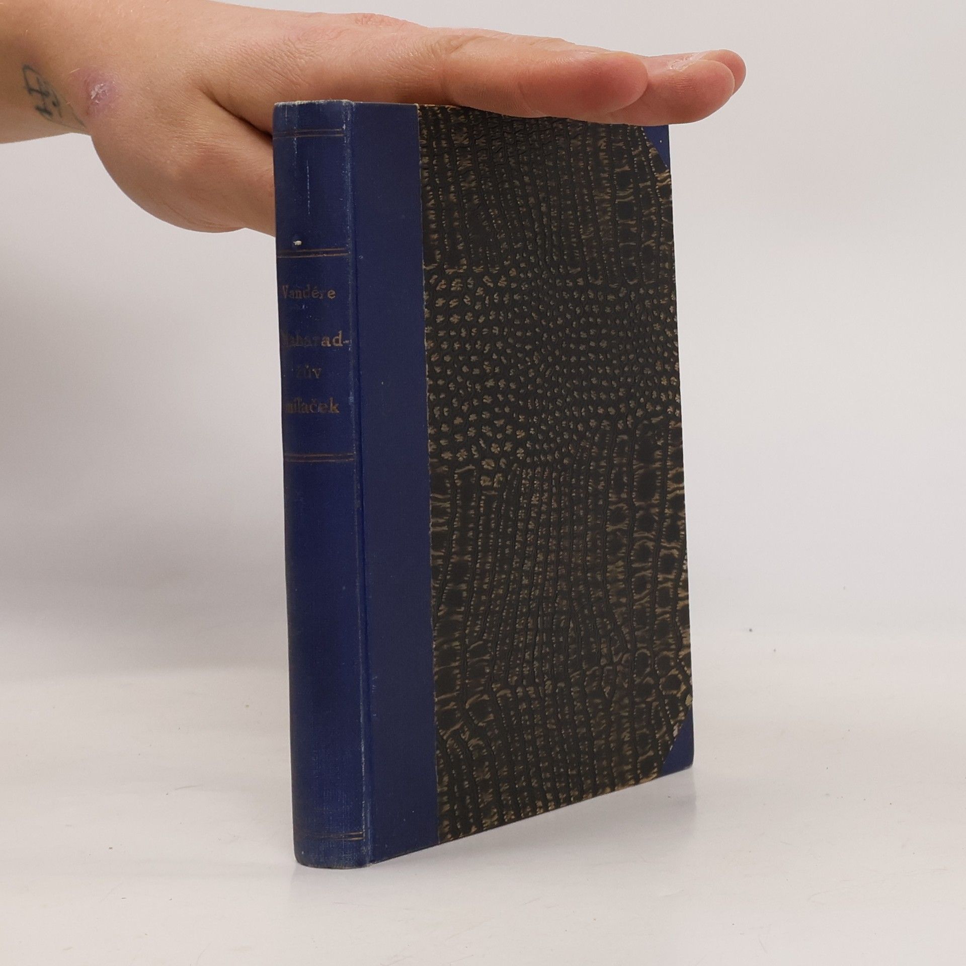 Jane de la Vaudère Maharadžův miláček. Román exotické lásky