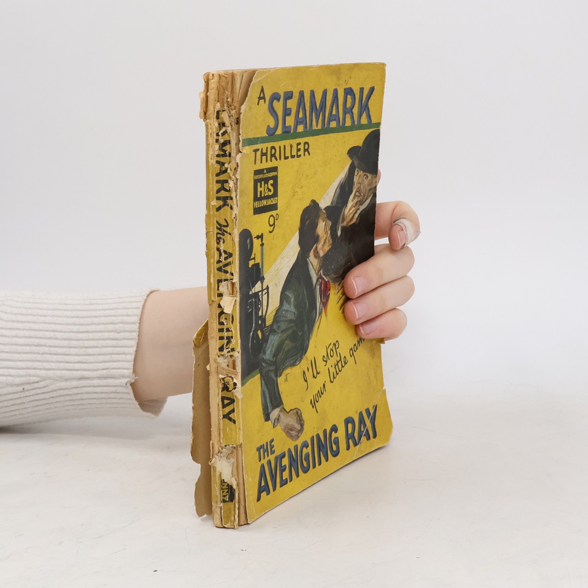 Seamark The Avenging Ray