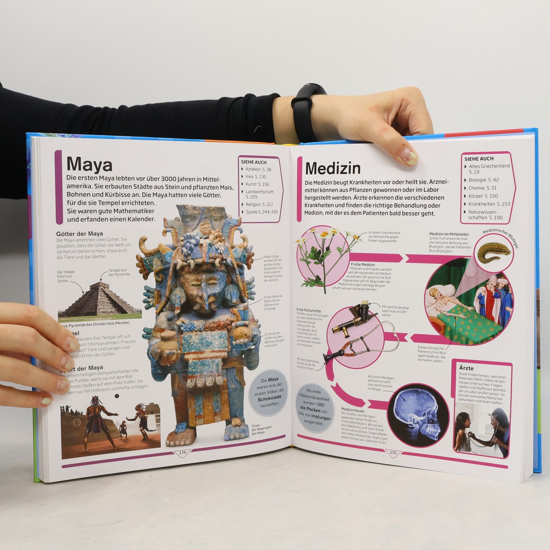 Das große Zeitleo Grundschul-Lexikon von A bis Z