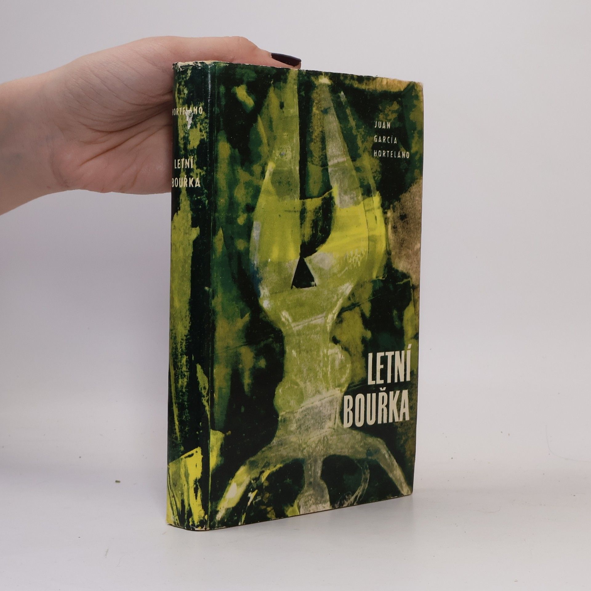 Juan García Hortelano Letní bouřka