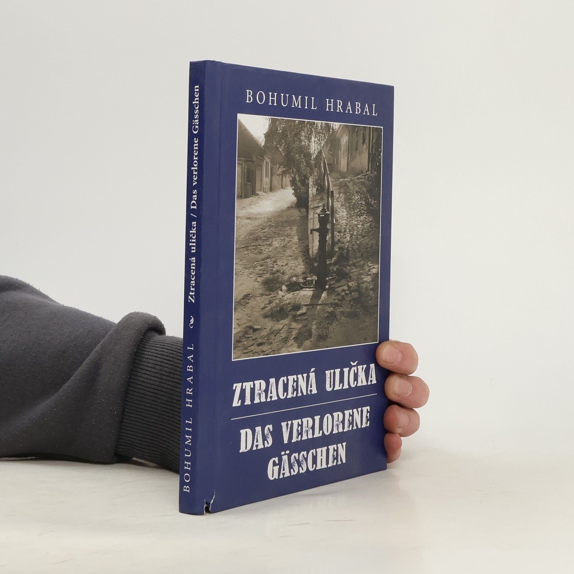 Maria Hammerich Maier Ztracená ulička, Das verlorene Gässchen