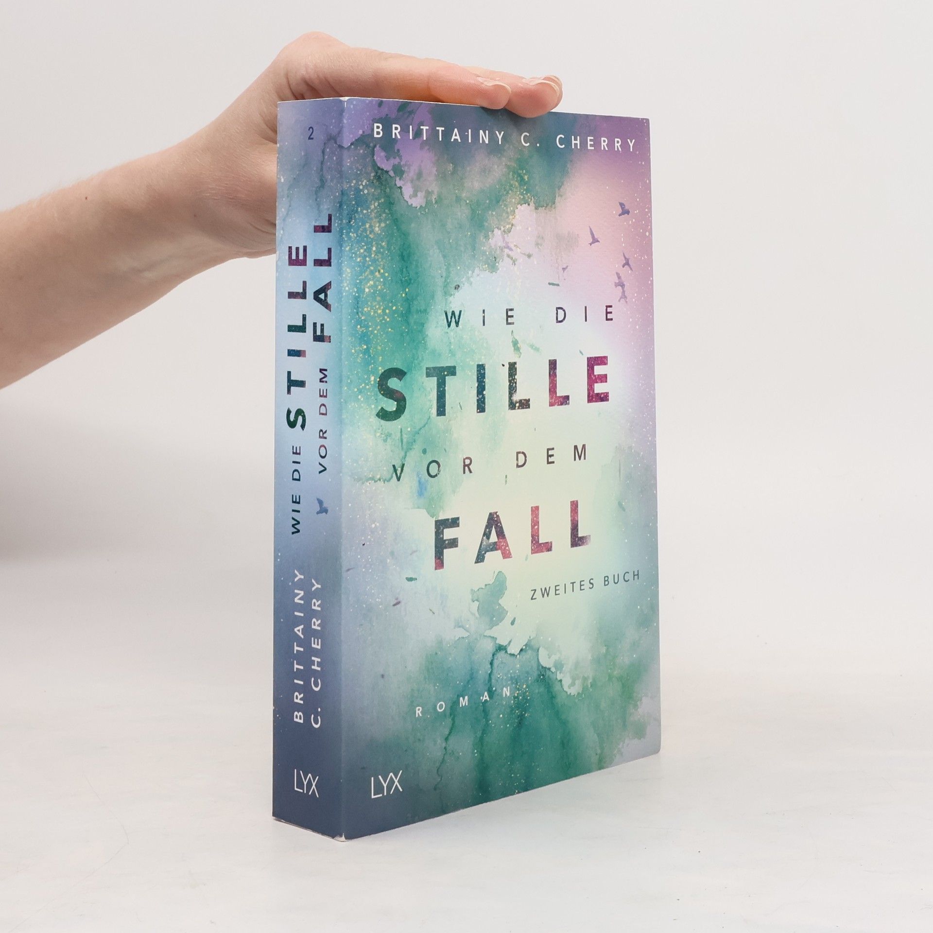 Brittainy C. Cherry Wie die Stille vor dem Fall 2