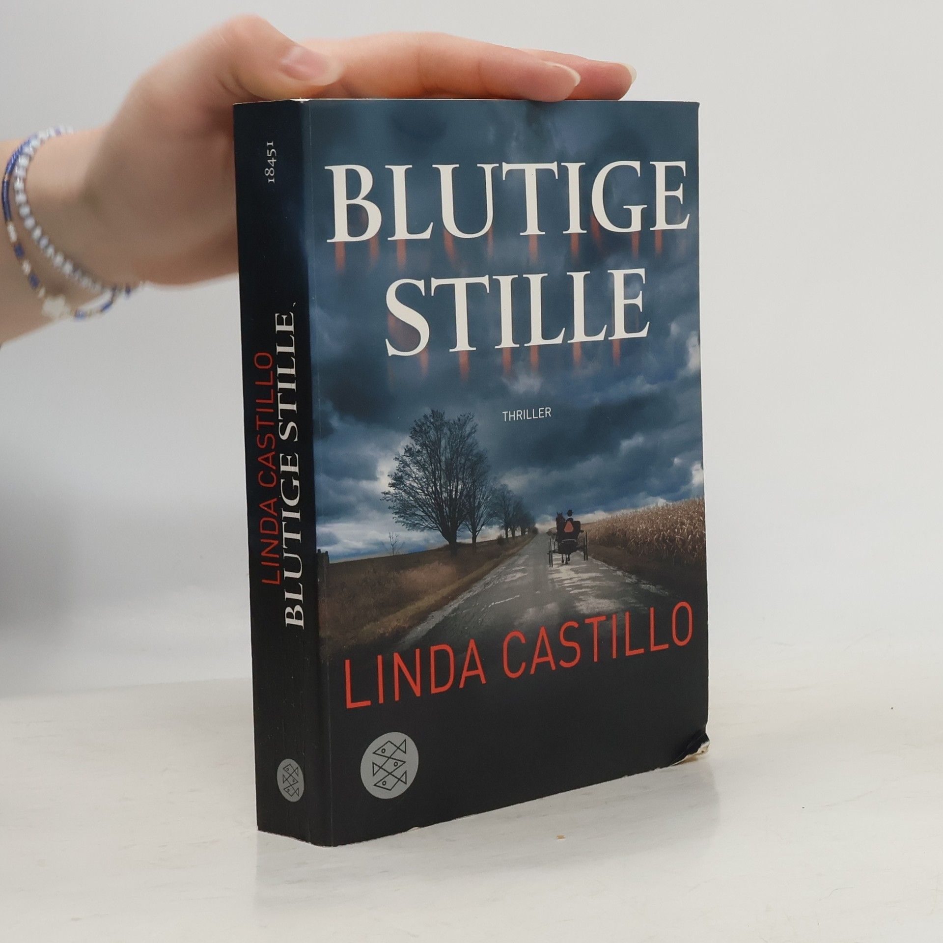 Linda Castillo Blutige Stille