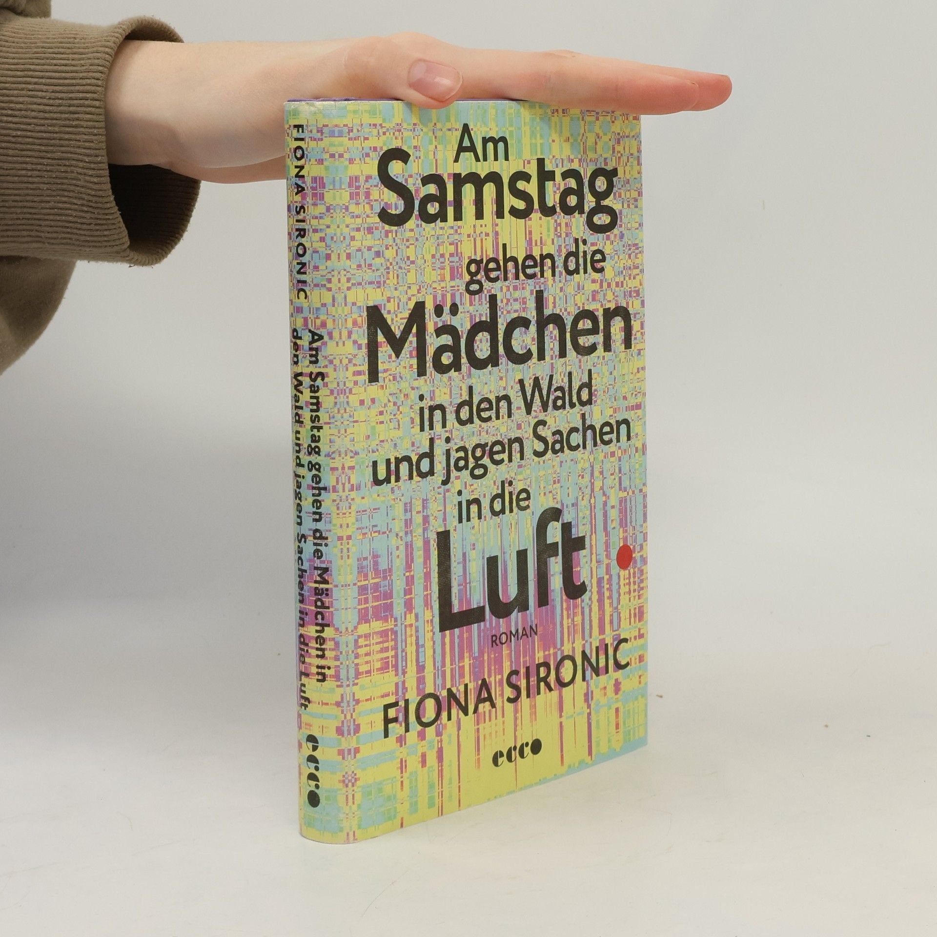 Fiona Sironic Am Samstag gehen die Mädchen in den Wald und jagen Sachen in die Luft