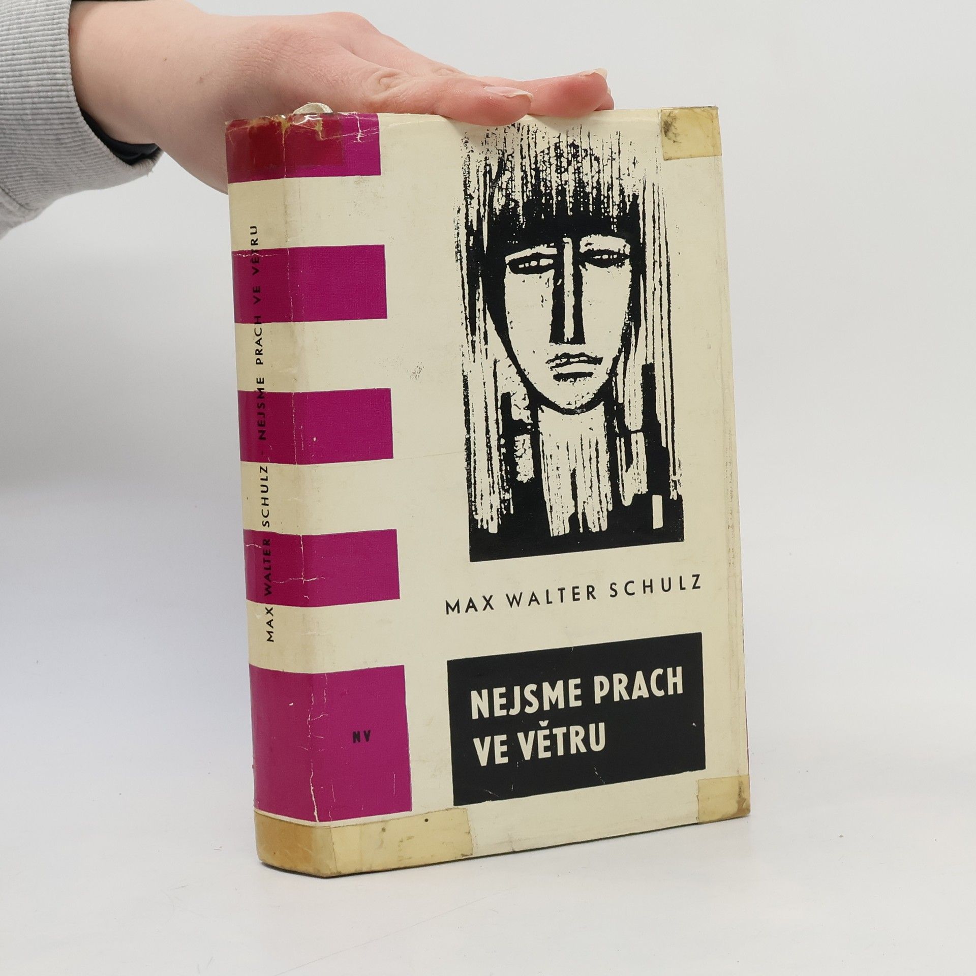 Max W. Schulz Nejsme prach ve větru