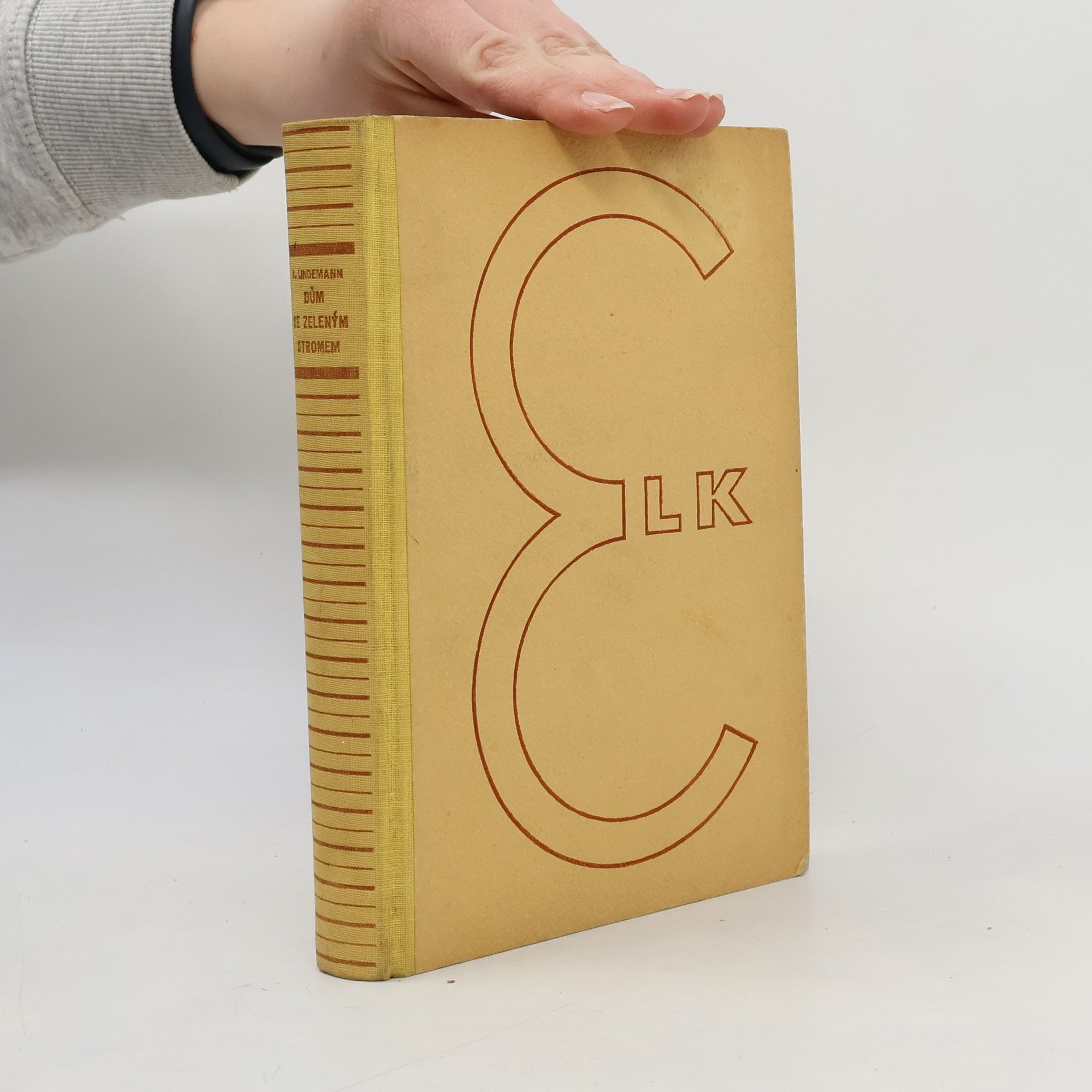 Kelvin Lindemann Dům se zeleným stromem