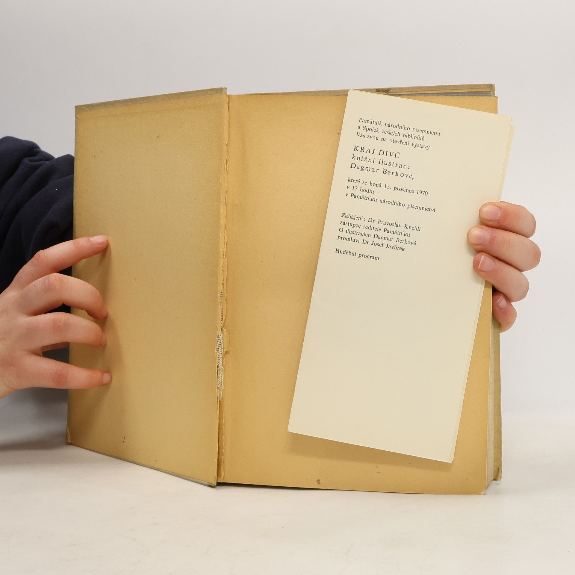 Lewis Carroll Alenčina dobrodružství v říši divů a za zrcadlem