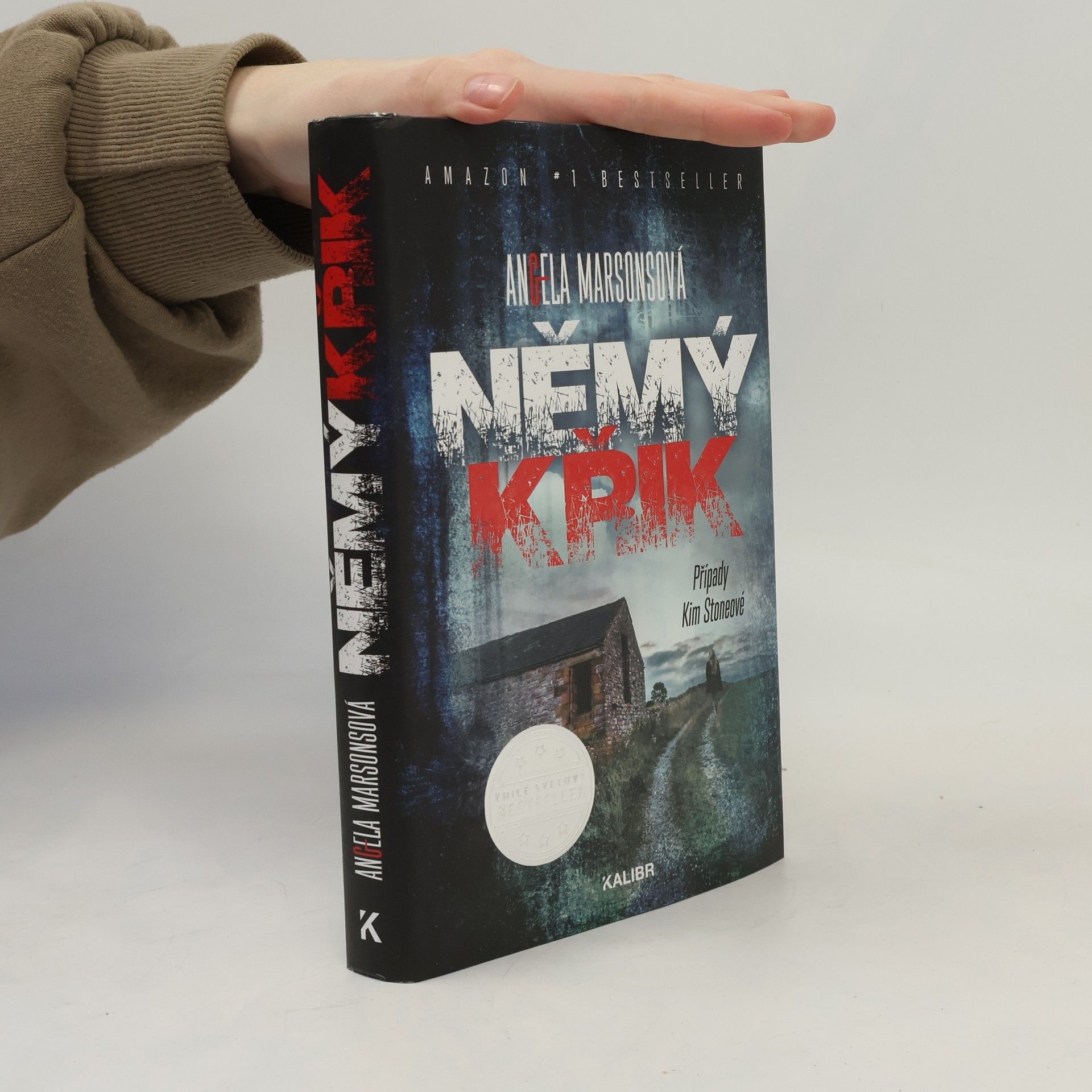 Angela Marsons Němý křik