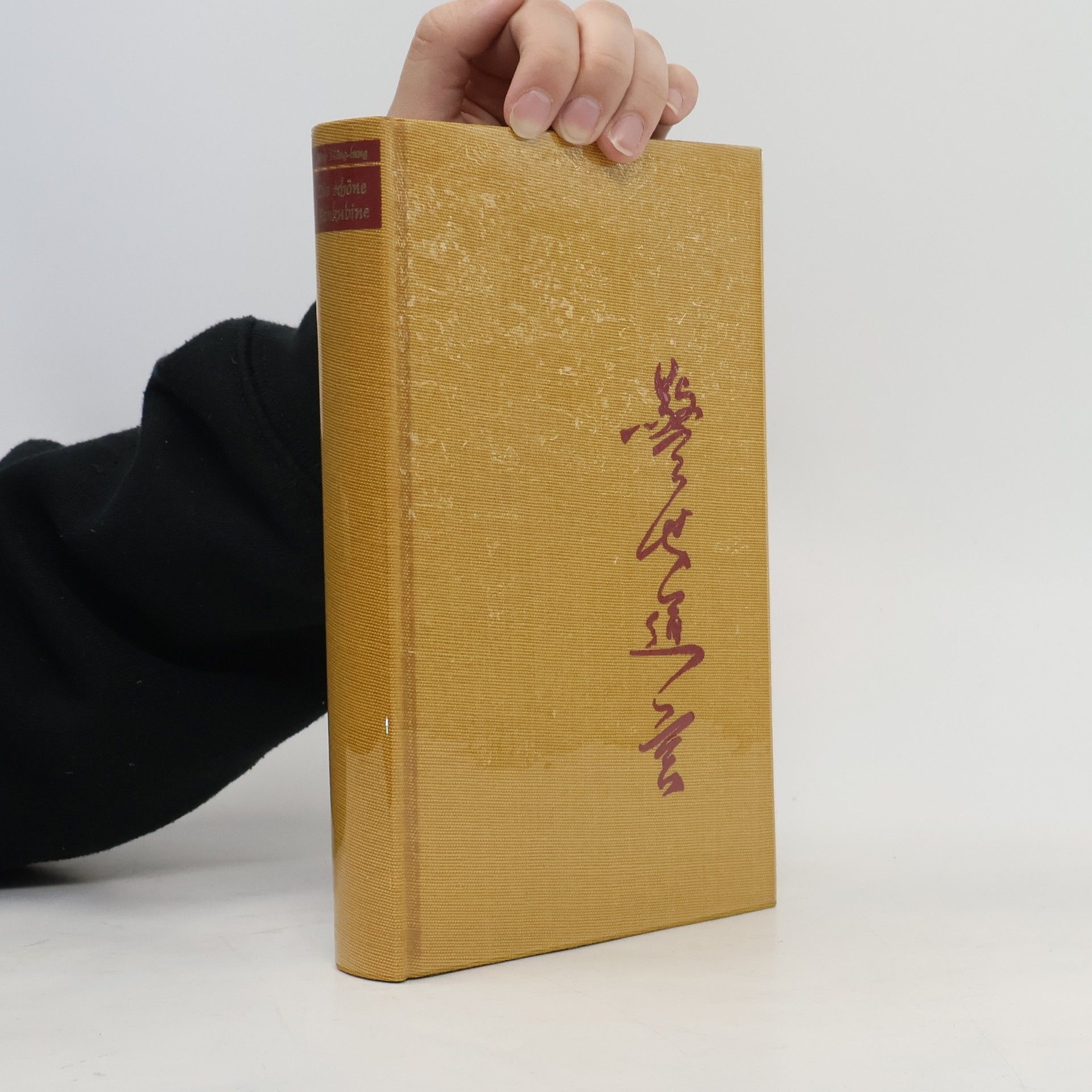 Die schöne Konkubine