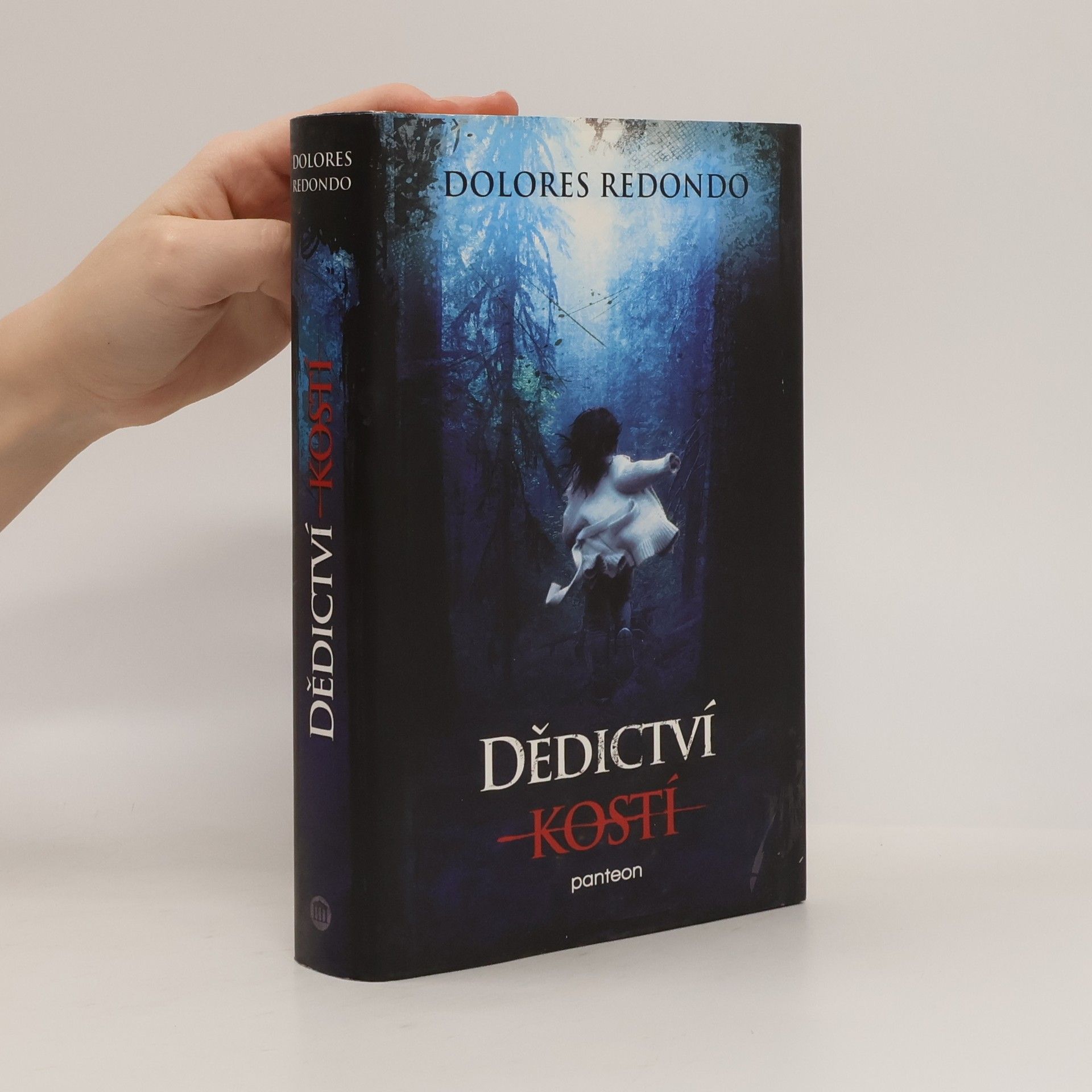 Dolores Redondo Dědictví kostí