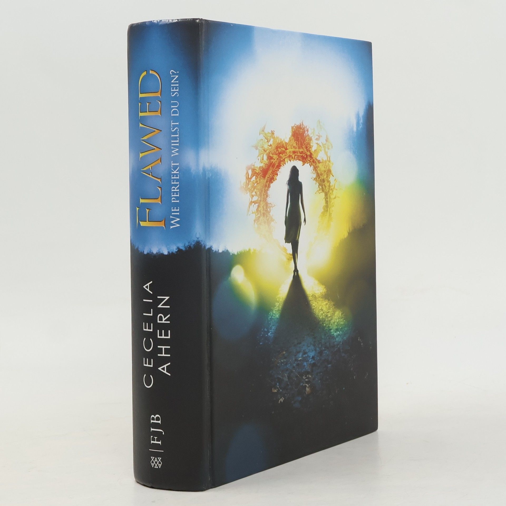 Cecelia Ahern Flawed - wie perfekt willst du sein?