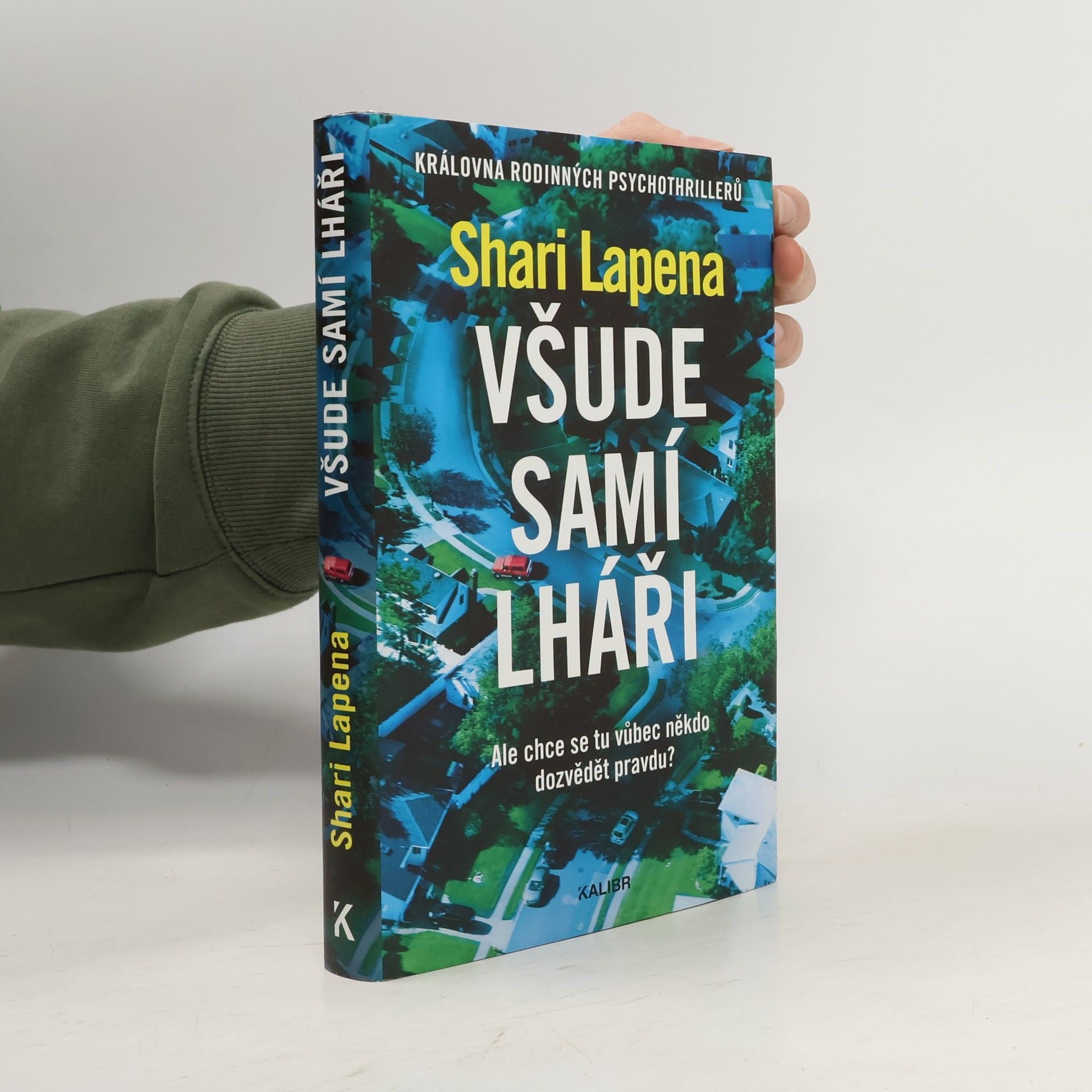 Shari Lapena Všude samí lháři