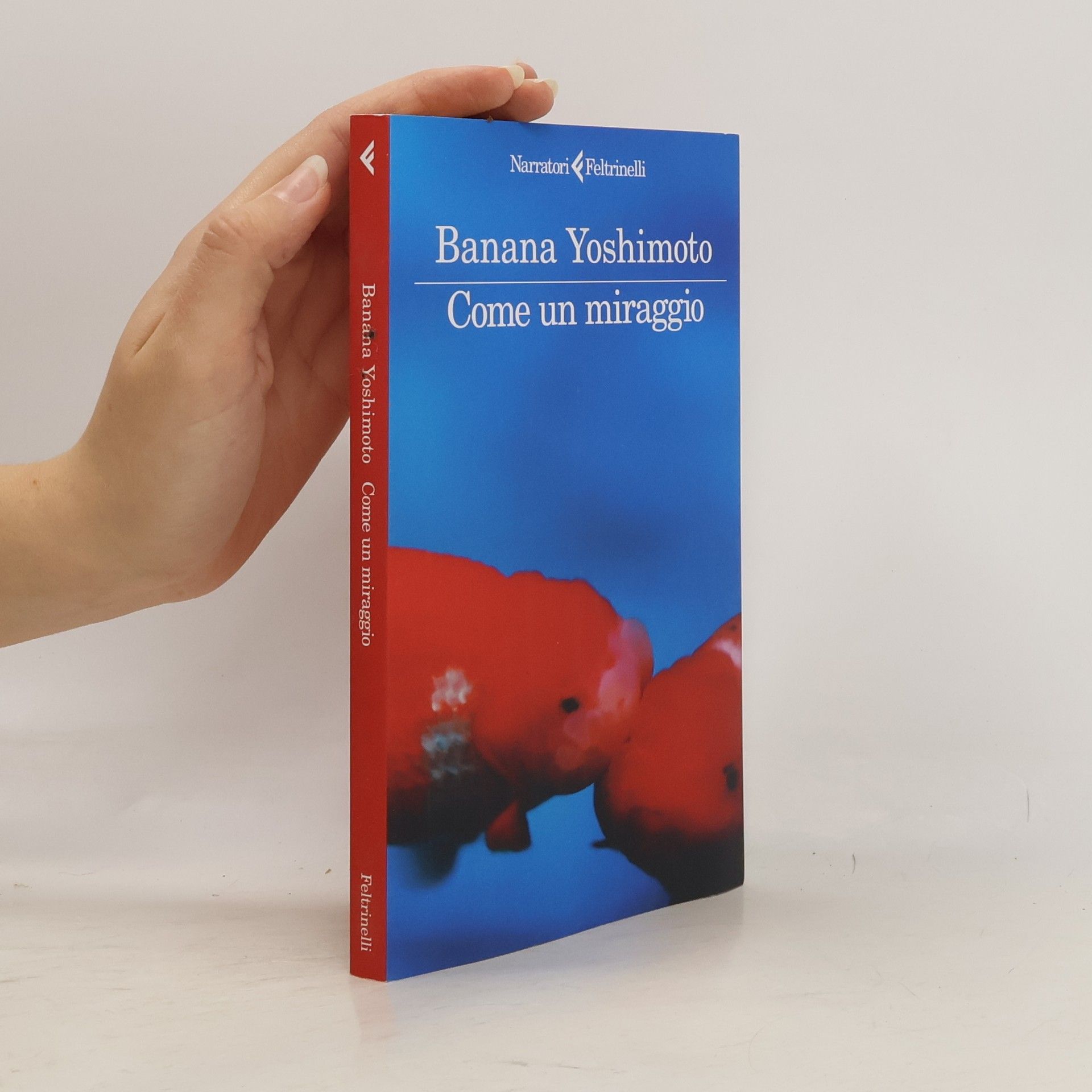 Banana Yoshimoto I narratori: Come un miraggio