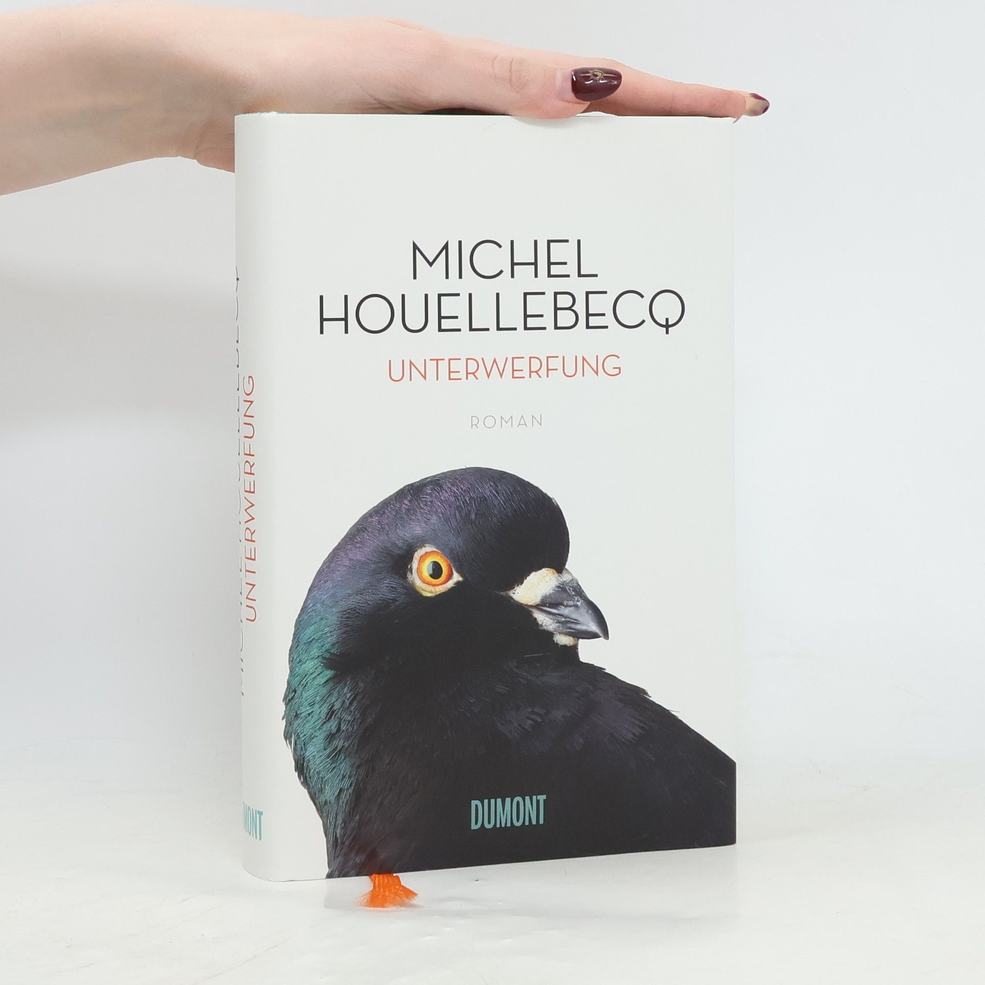 Michel Houellebecq Unterwerfung