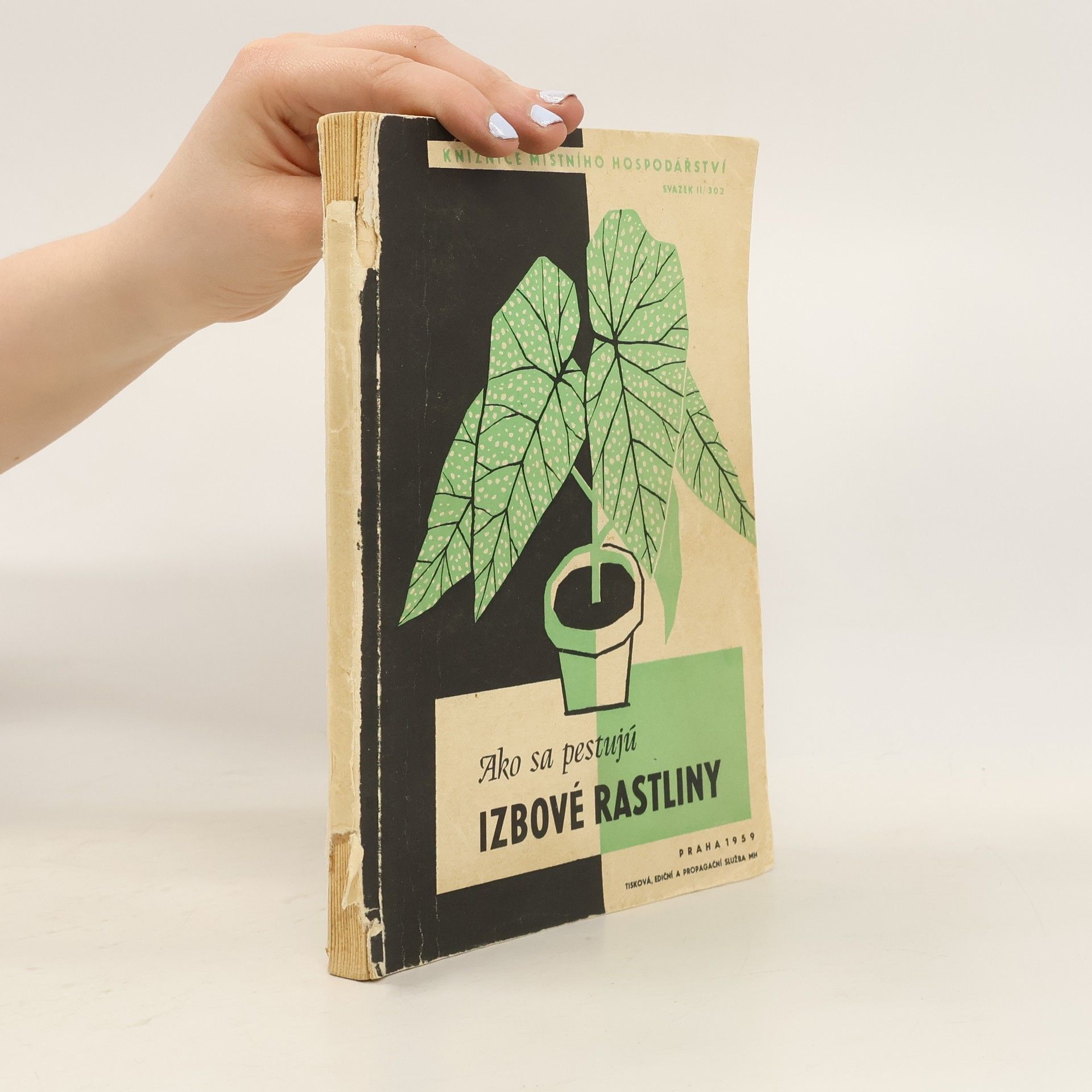 Oldřich Bureš Ako sa pestujú izbové rastliny