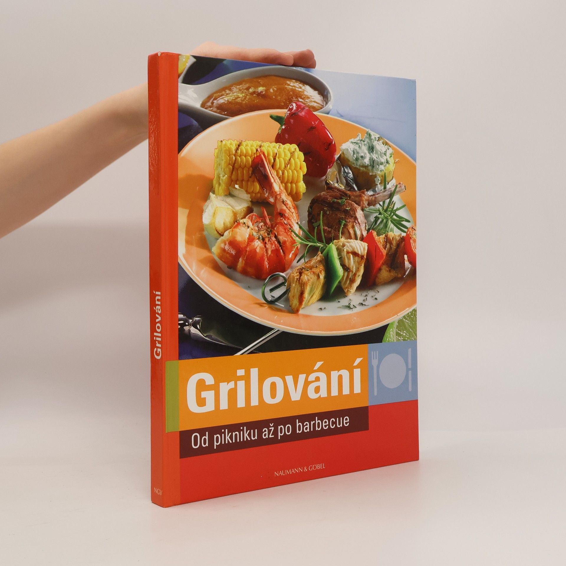 Collectif d'auteurs Grilování. Od pikniku až po barbecue