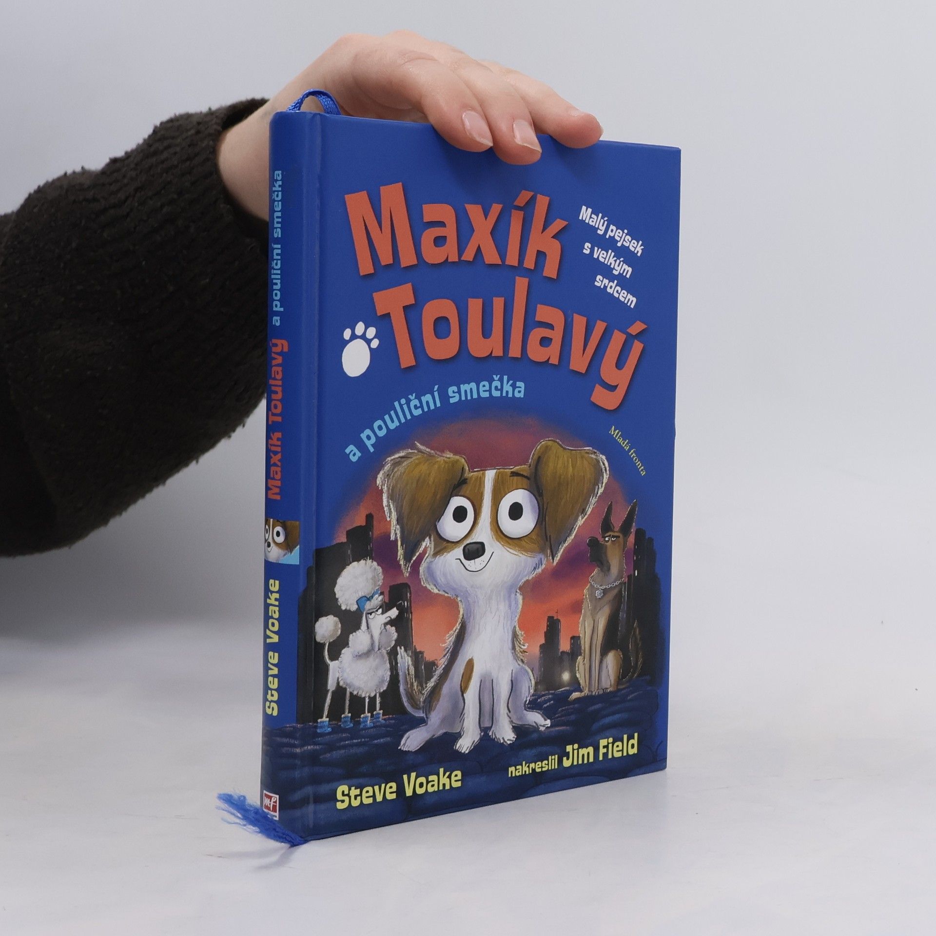 Steve Voake Maxík Toulavý a pouliční smečka