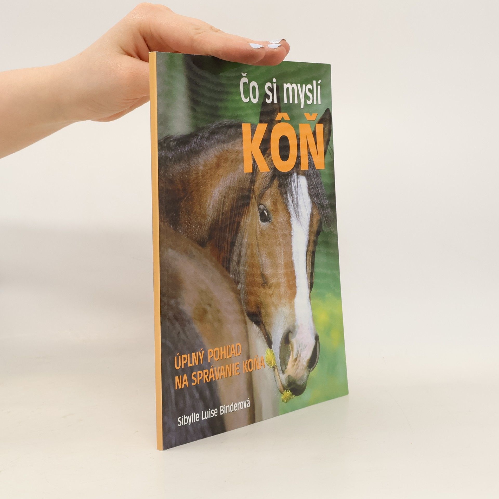 Sibylle Luise Binder Čo si myslí kôň
