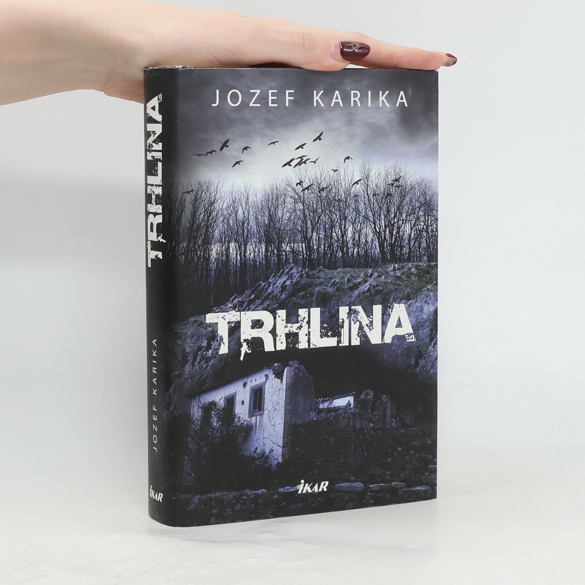 Jozef Karika Trhlina