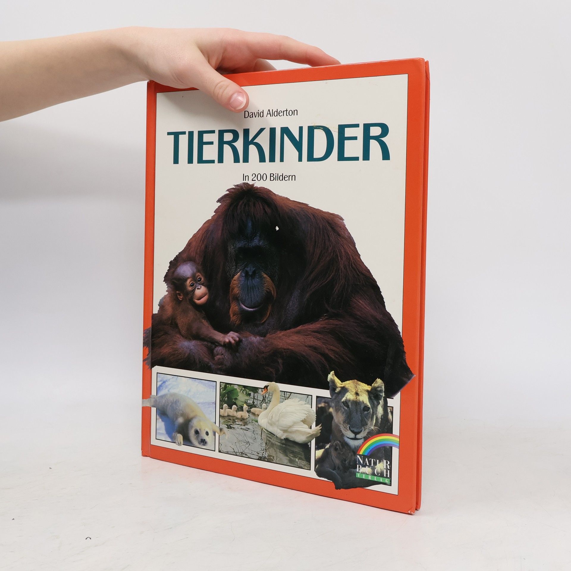 David Alderton Tierkinder