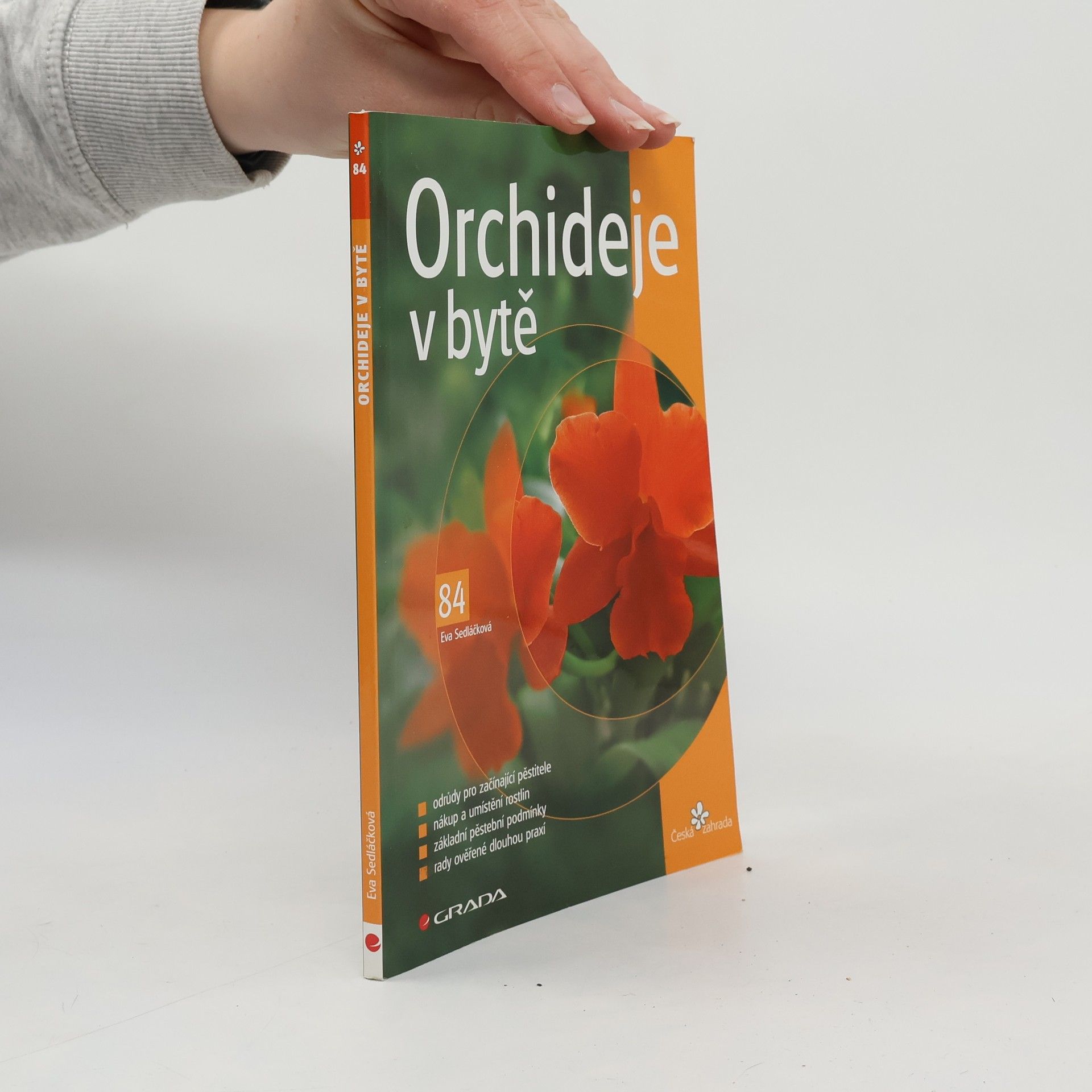 Eva Sedláčková Orchideje v bytě