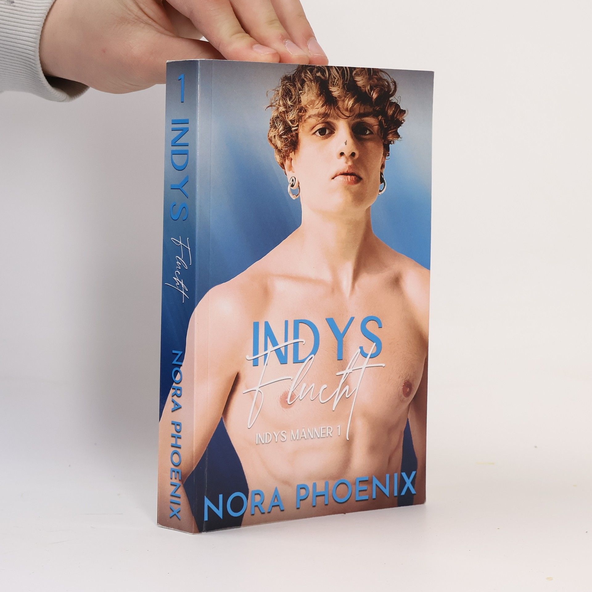 Nora Phoenix Indys Männer - 1: Indys Flucht