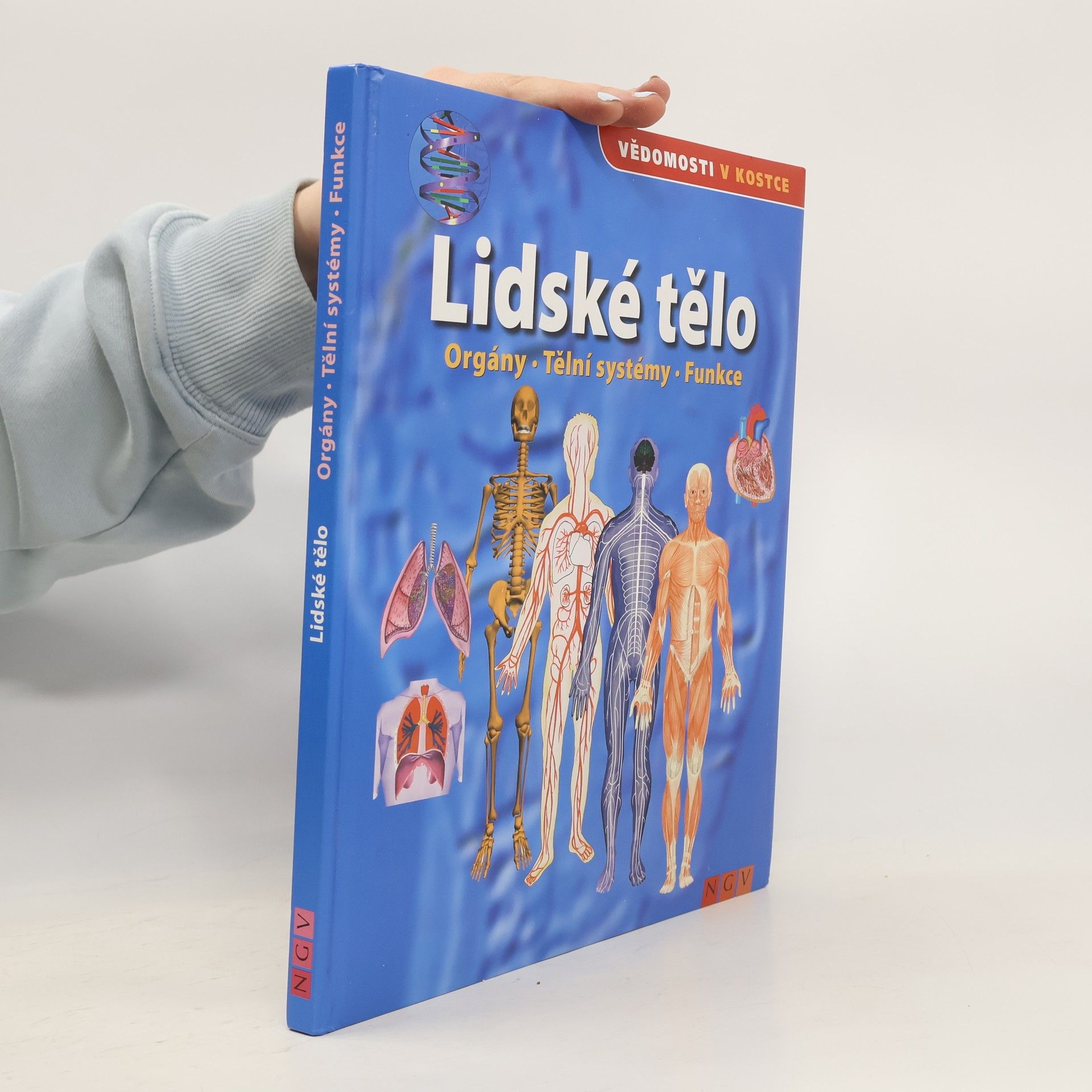 Kolektív autorov Lidské tělo. Orgány. Tělní systémy. Funkce