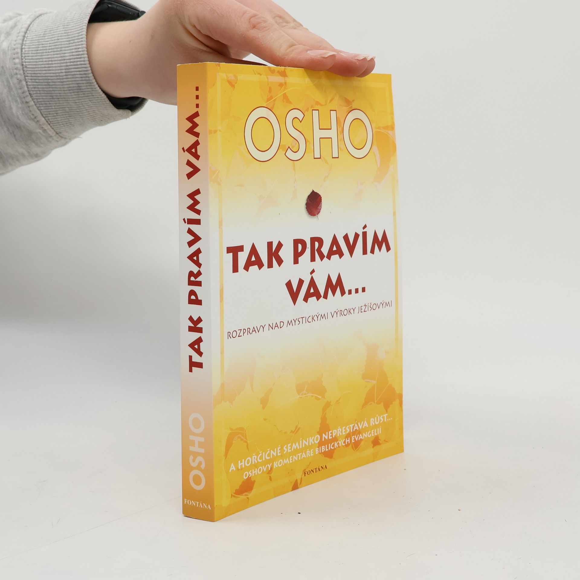 Ošó Tak pravím vám... Rozmluvy o mystických výrocích Ježíšových