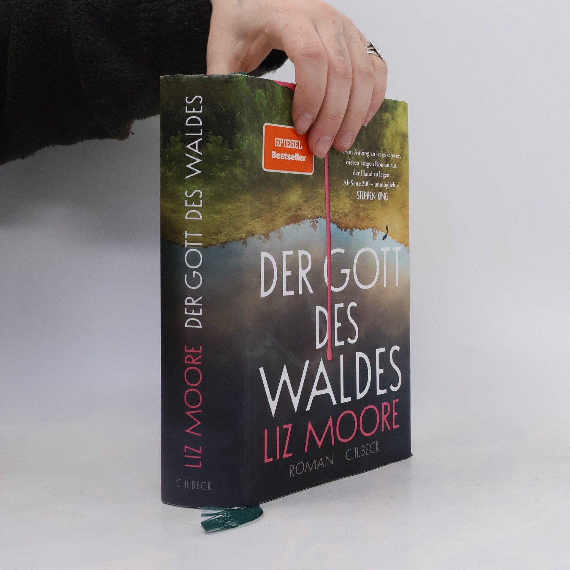 Liz Moore Der Gott des Waldes