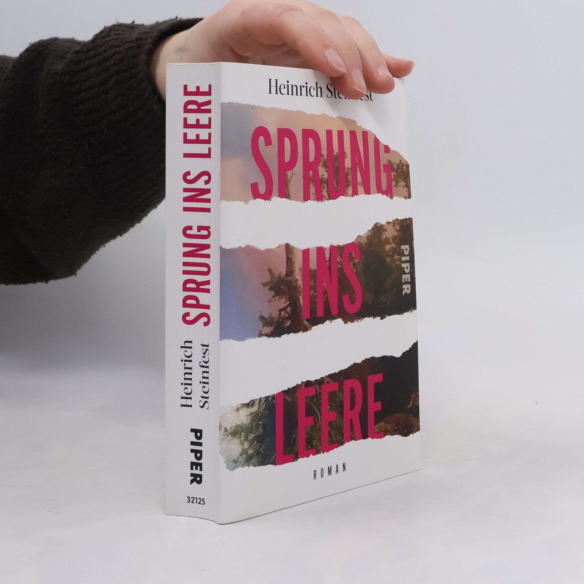 Heinrich Steinfest Sprung ins Leere