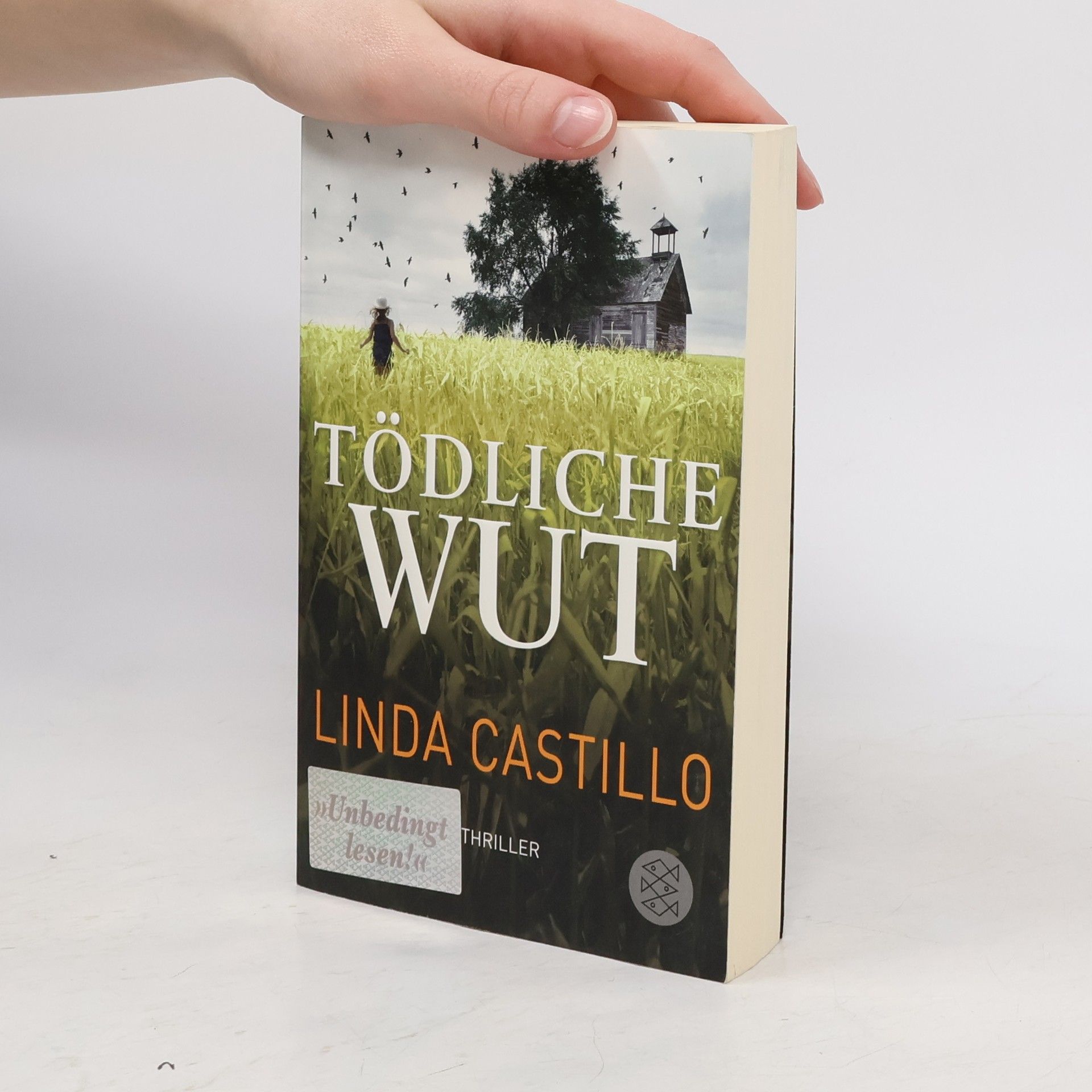 Linda Castillo Tödliche Wut