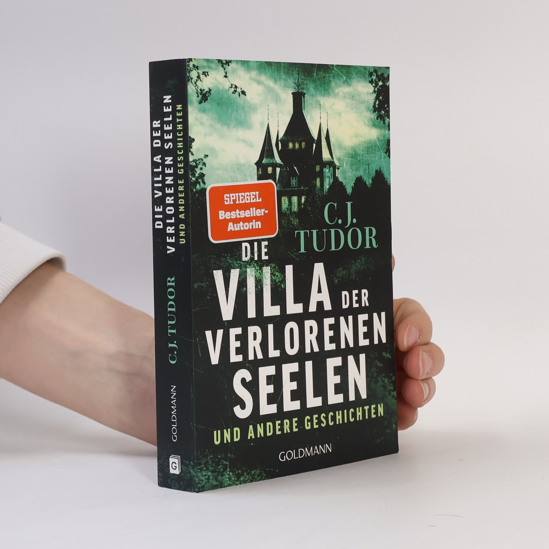 C. J. Tudor Die Villa der verlorenen Seelen und andere Geschichten