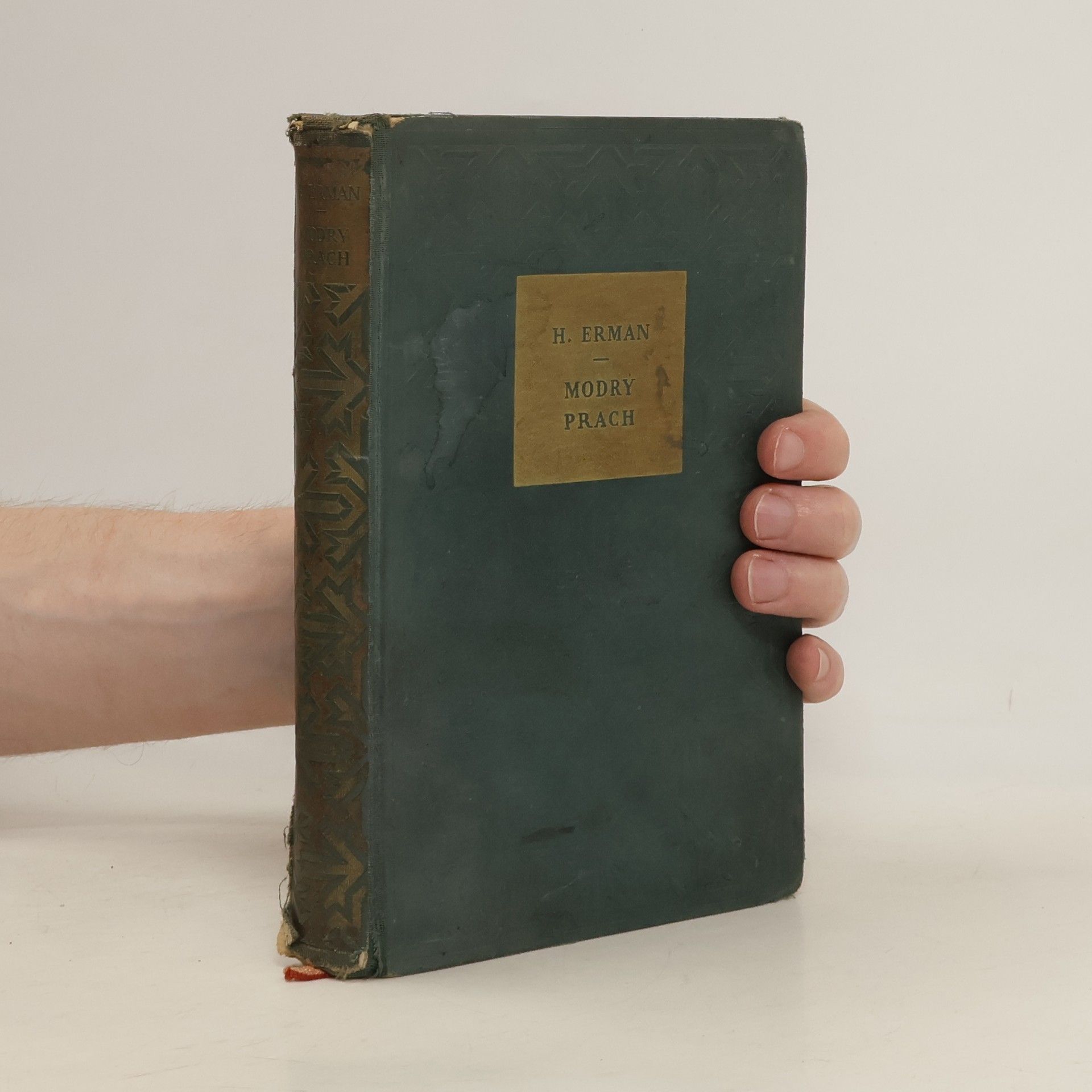 H. Erman Modrý prach