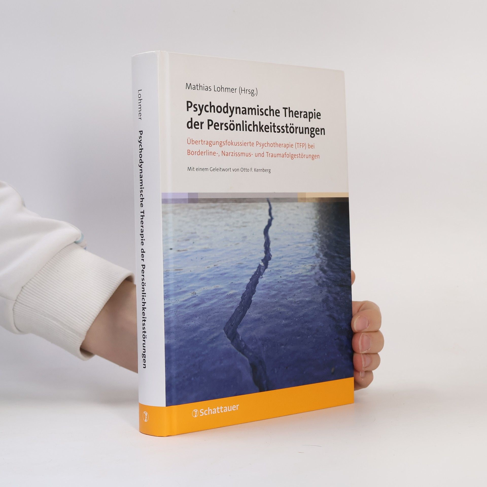 Psychodynamische Therapie der Persönlichkeitsstörungen