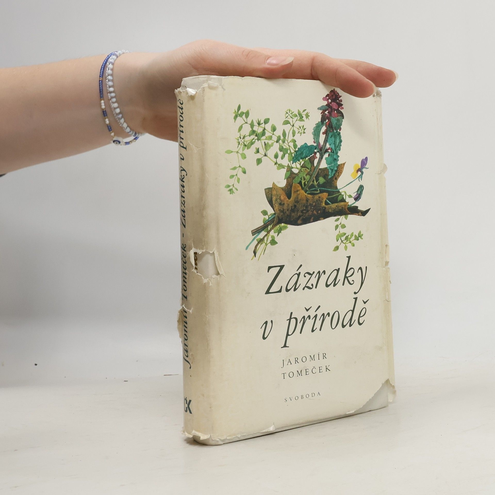 Jaromír Tomeček Zázraky v přírodě