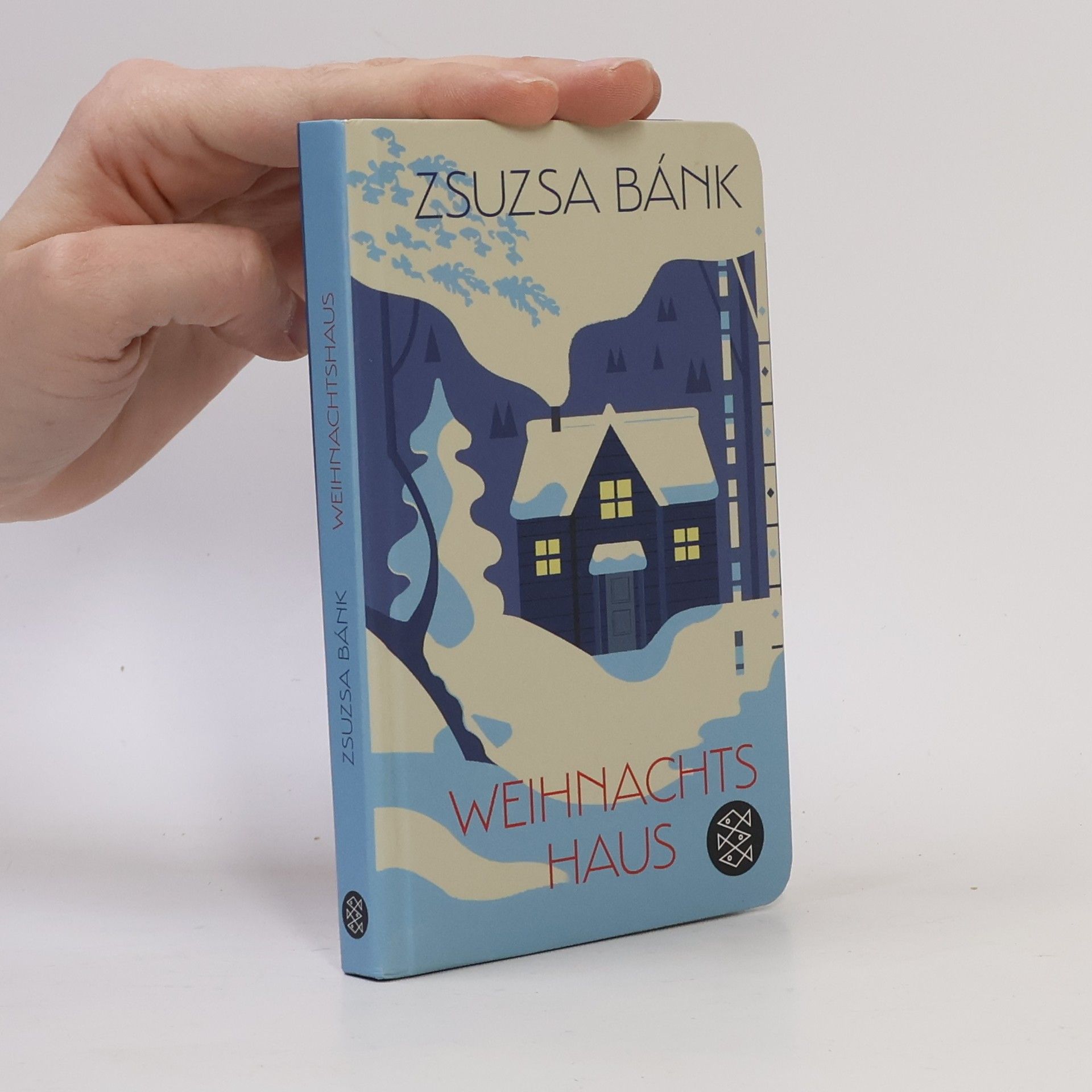 Zsuzsa Bánk Weihnachtshaus