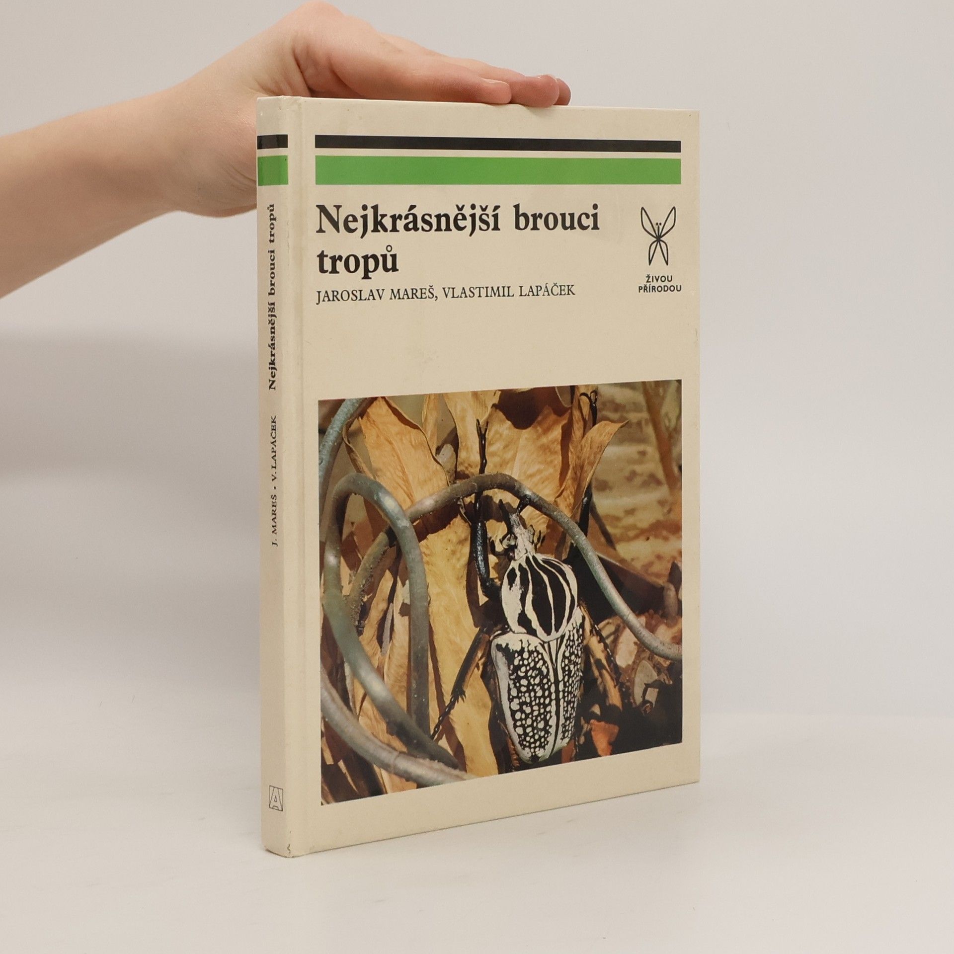 Jaroslav Mareš Nejkrásnější brouci tropů