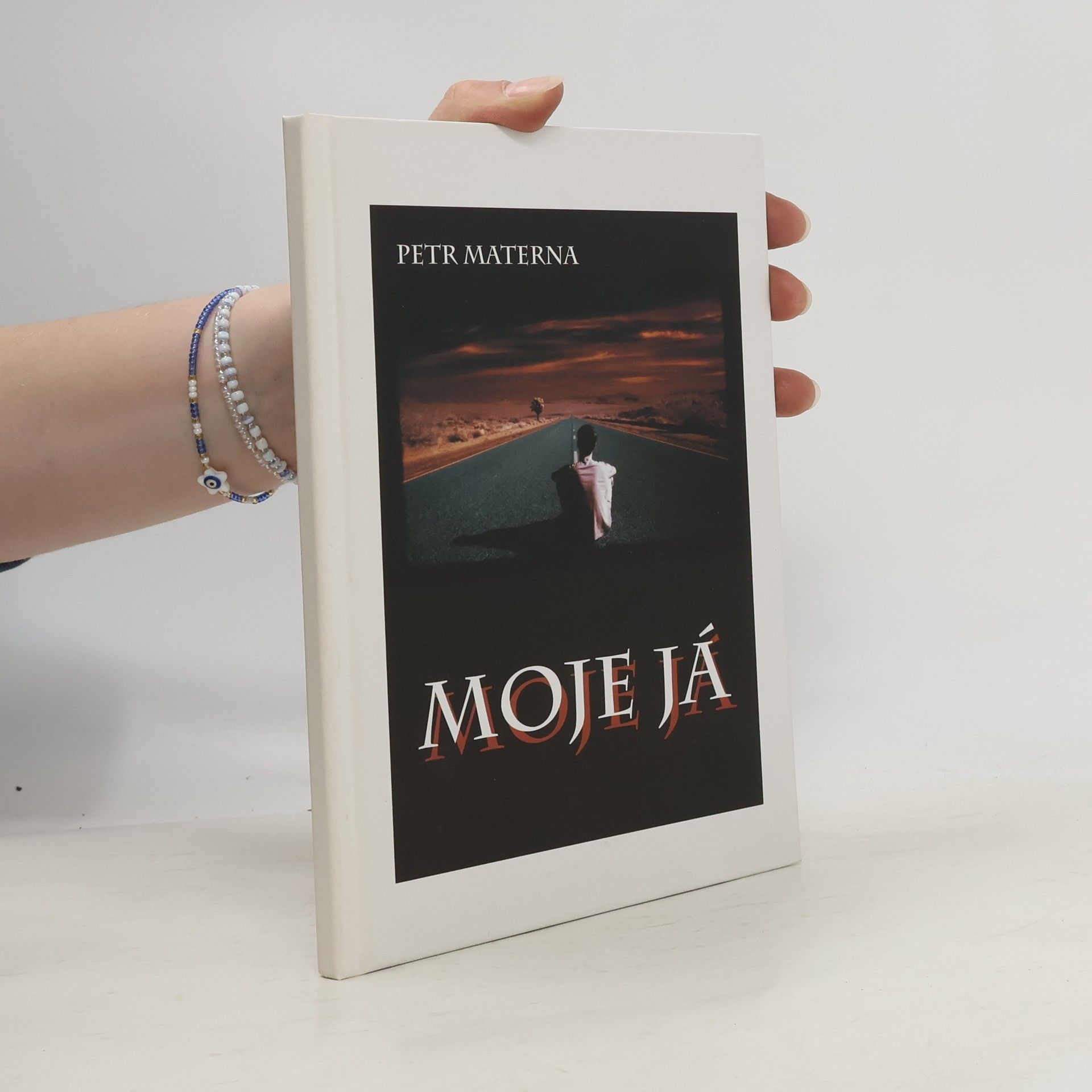 Petr Materna Moje já