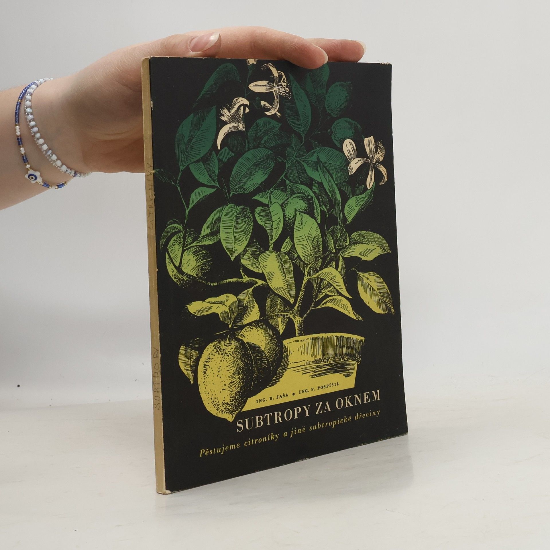 František Pospíšil Subtropy za oknem