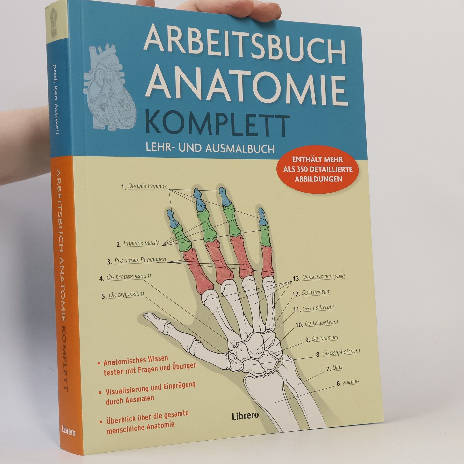 Arbeitsbuch Anatomie Komplett