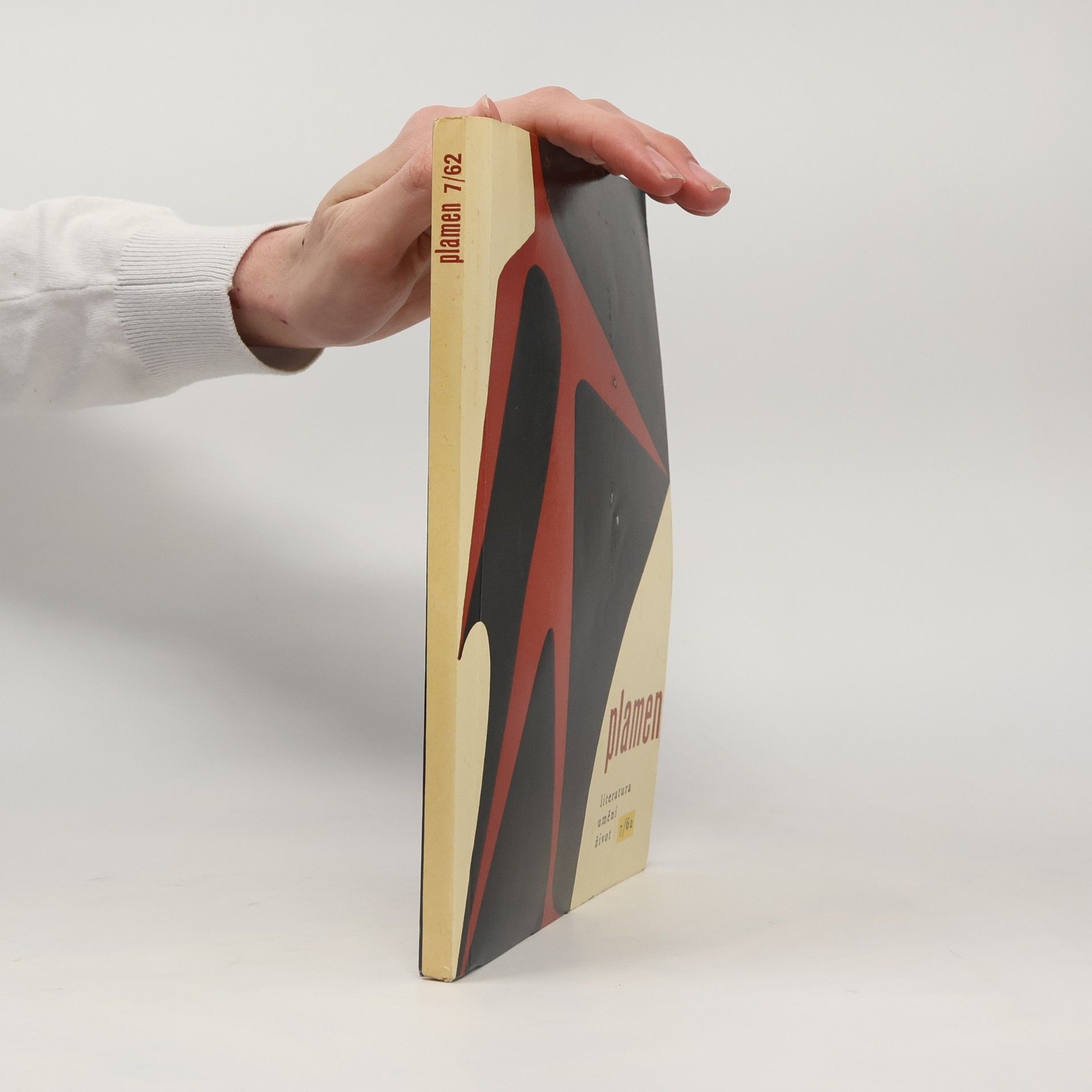 Jiří Hájek Plamen