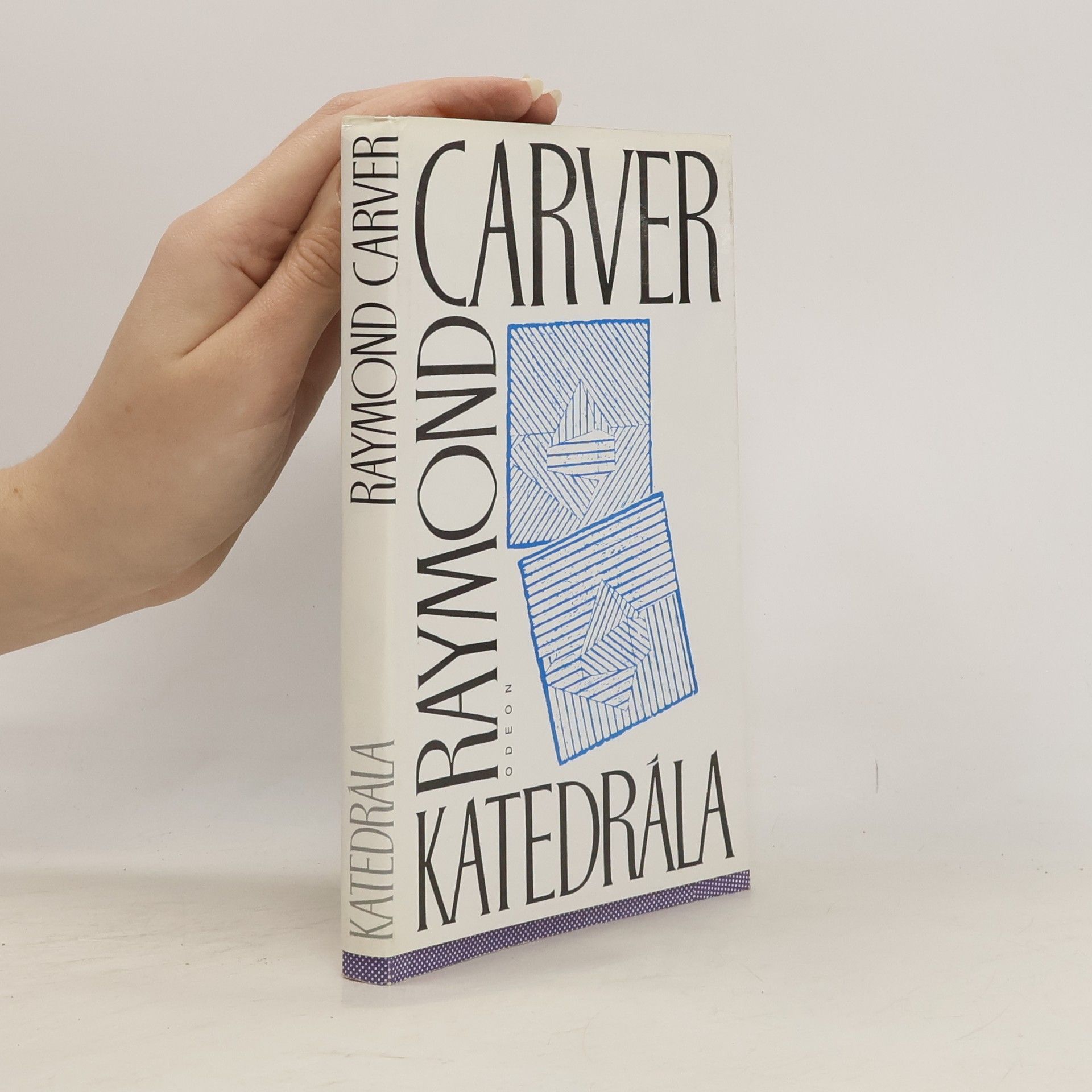 Raymond Carver Katedrála (a jiné povídky)