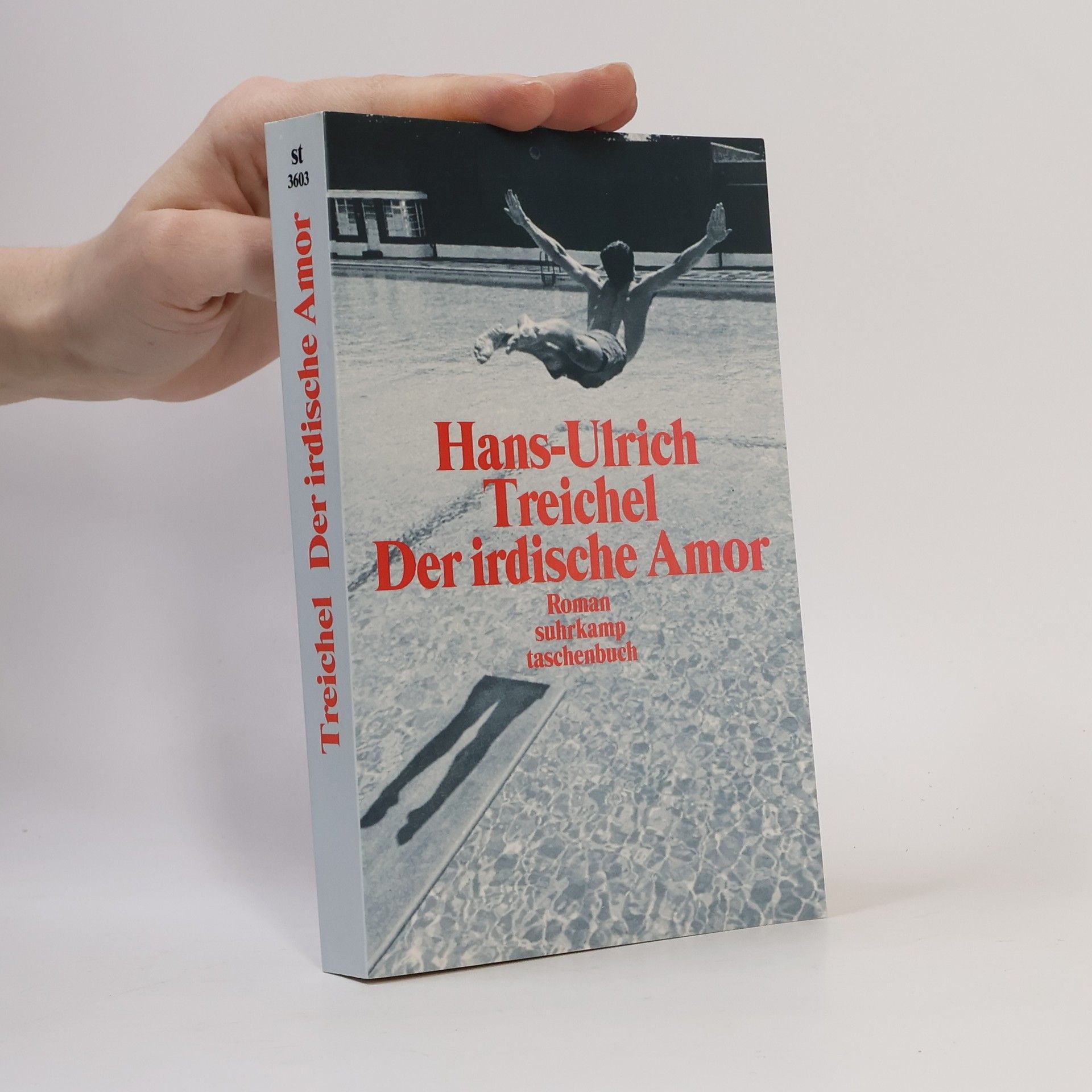 Hans-Ulrich Treichel Der irdische Amor