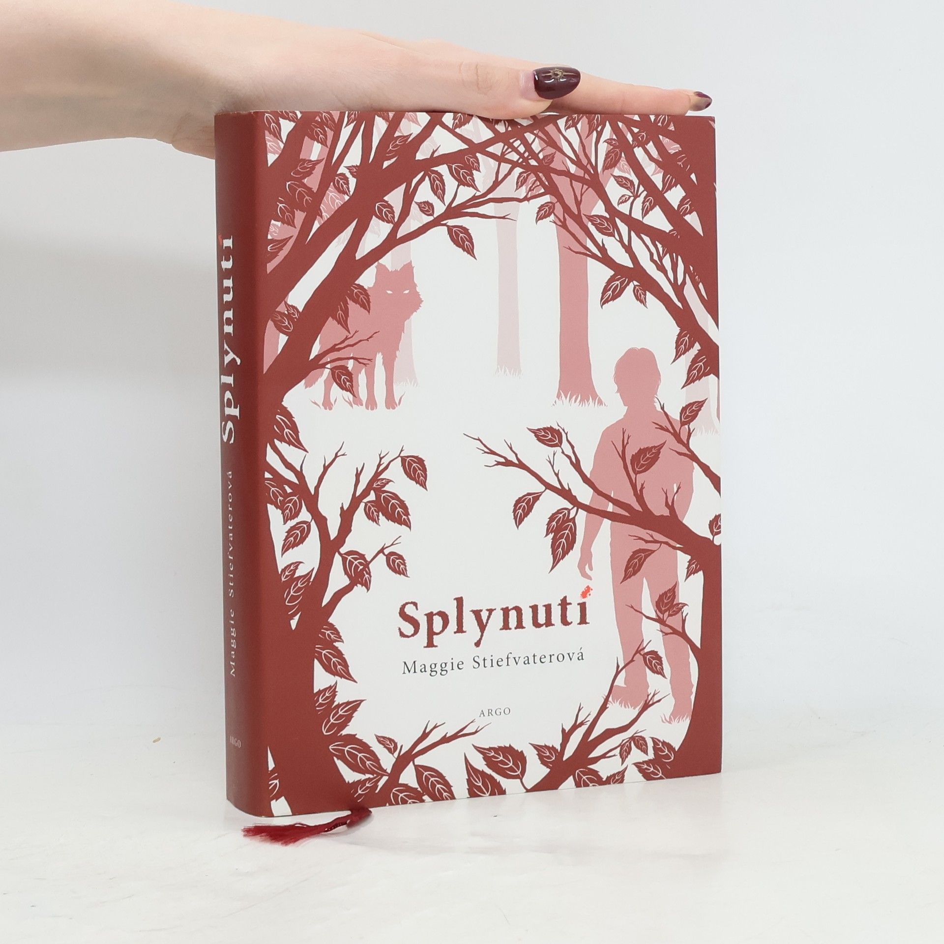 Maggie Stiefvater Splynutí