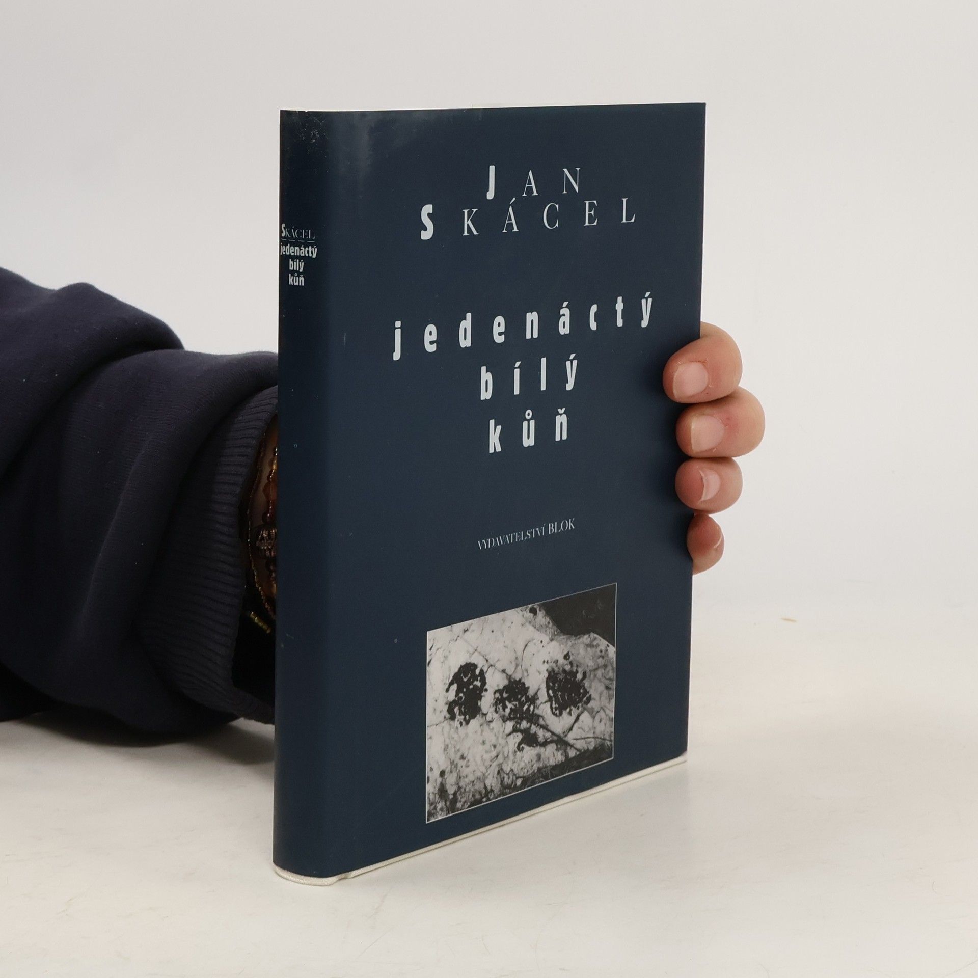 Jedenáctý bílý kůň