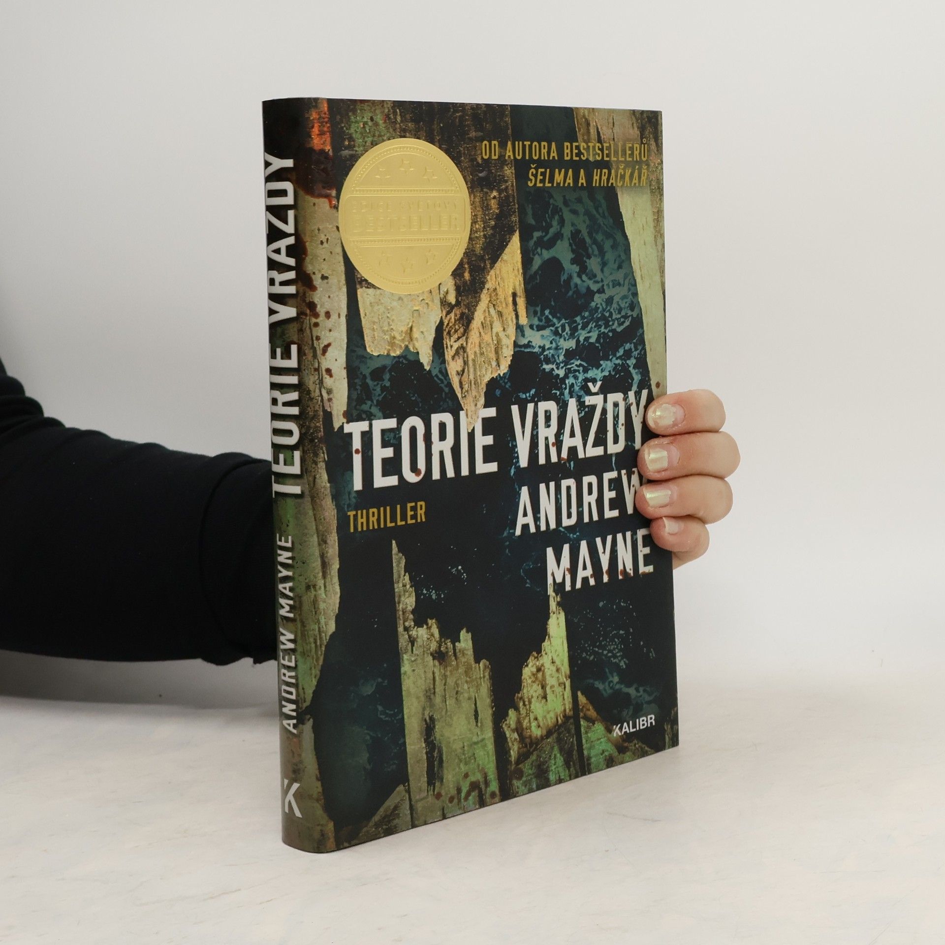 Andrew Mayne Teorie vraždy