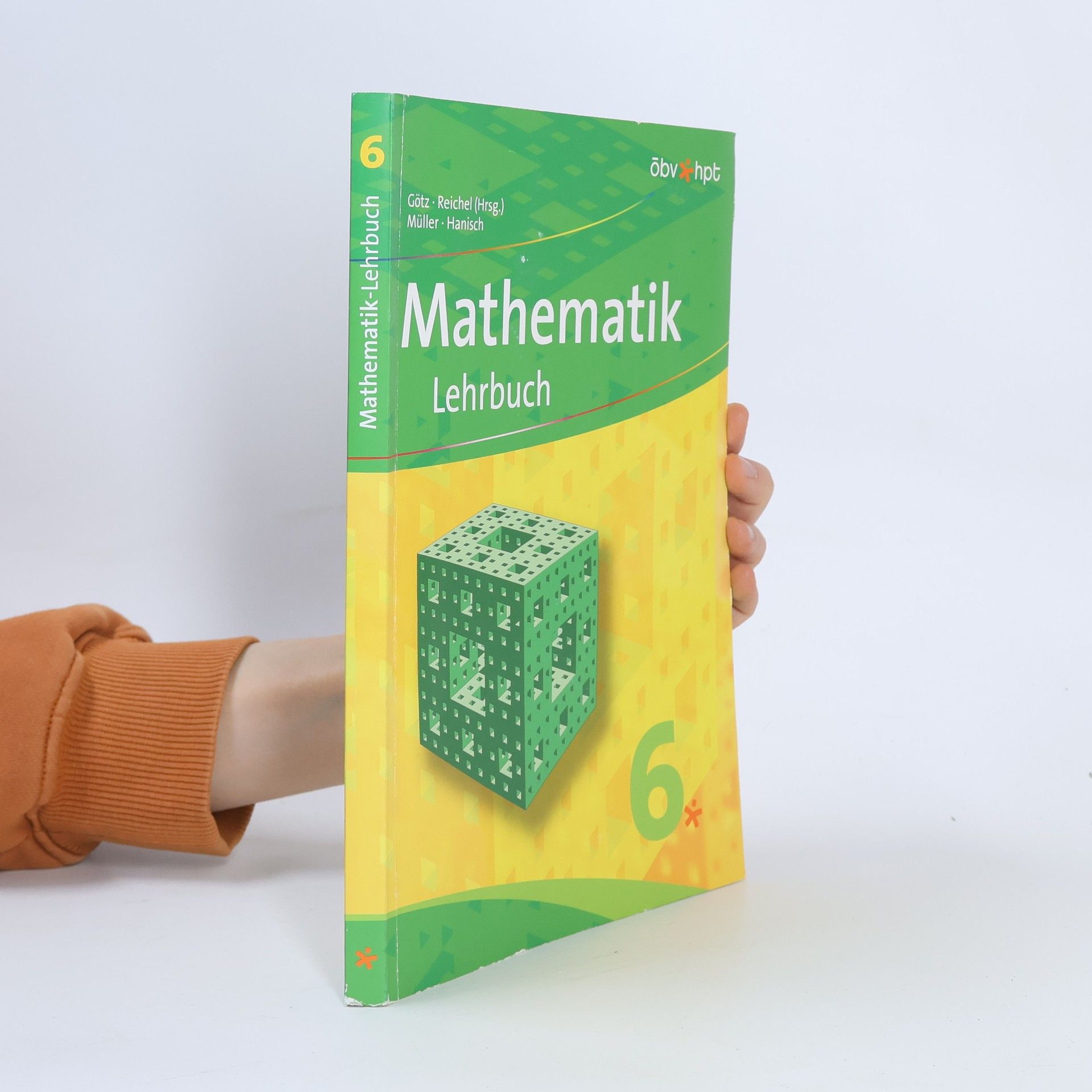 Stefan Götz Mathematik Lehrbuch 6