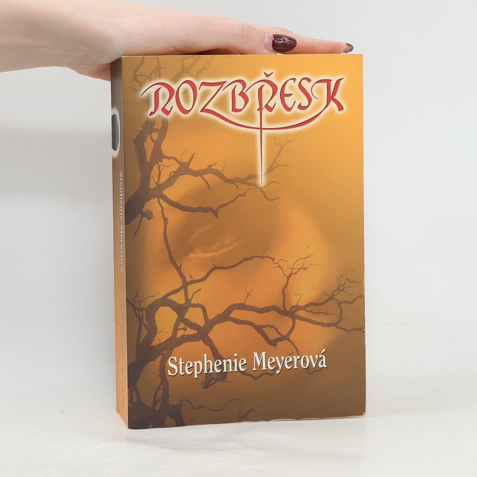 Stephenie Meyer Rozbřesk